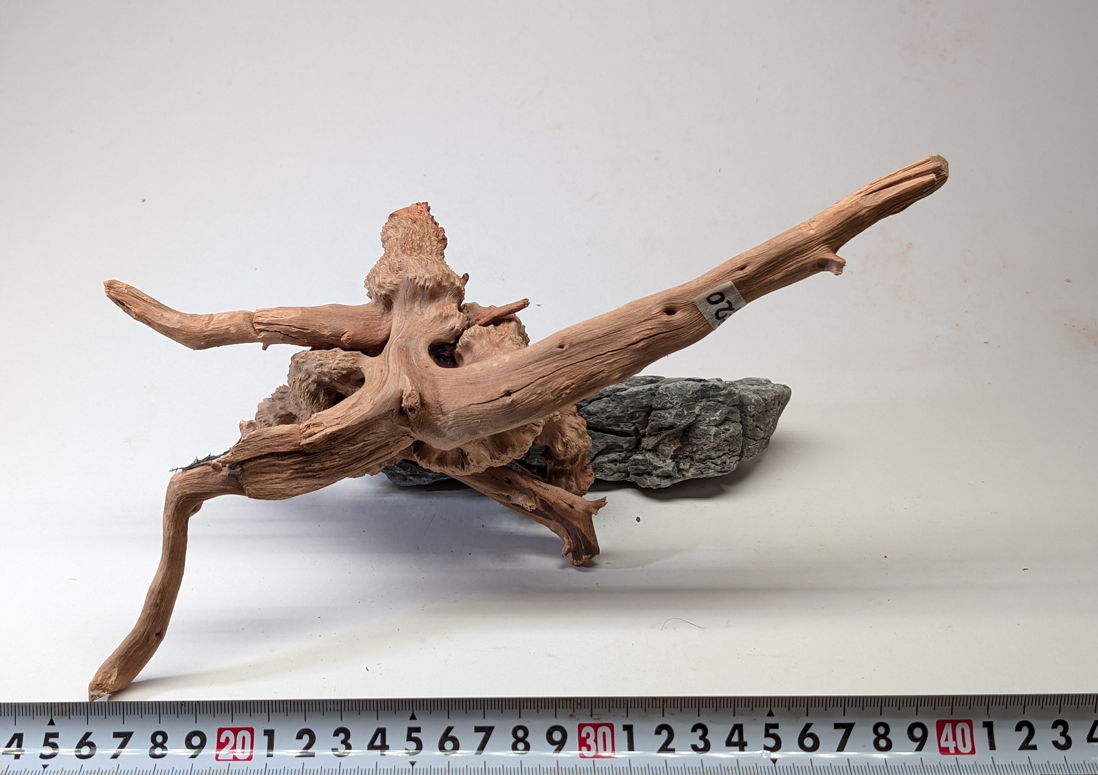 Aquarium gold vine driftwood  L size 25-40cm