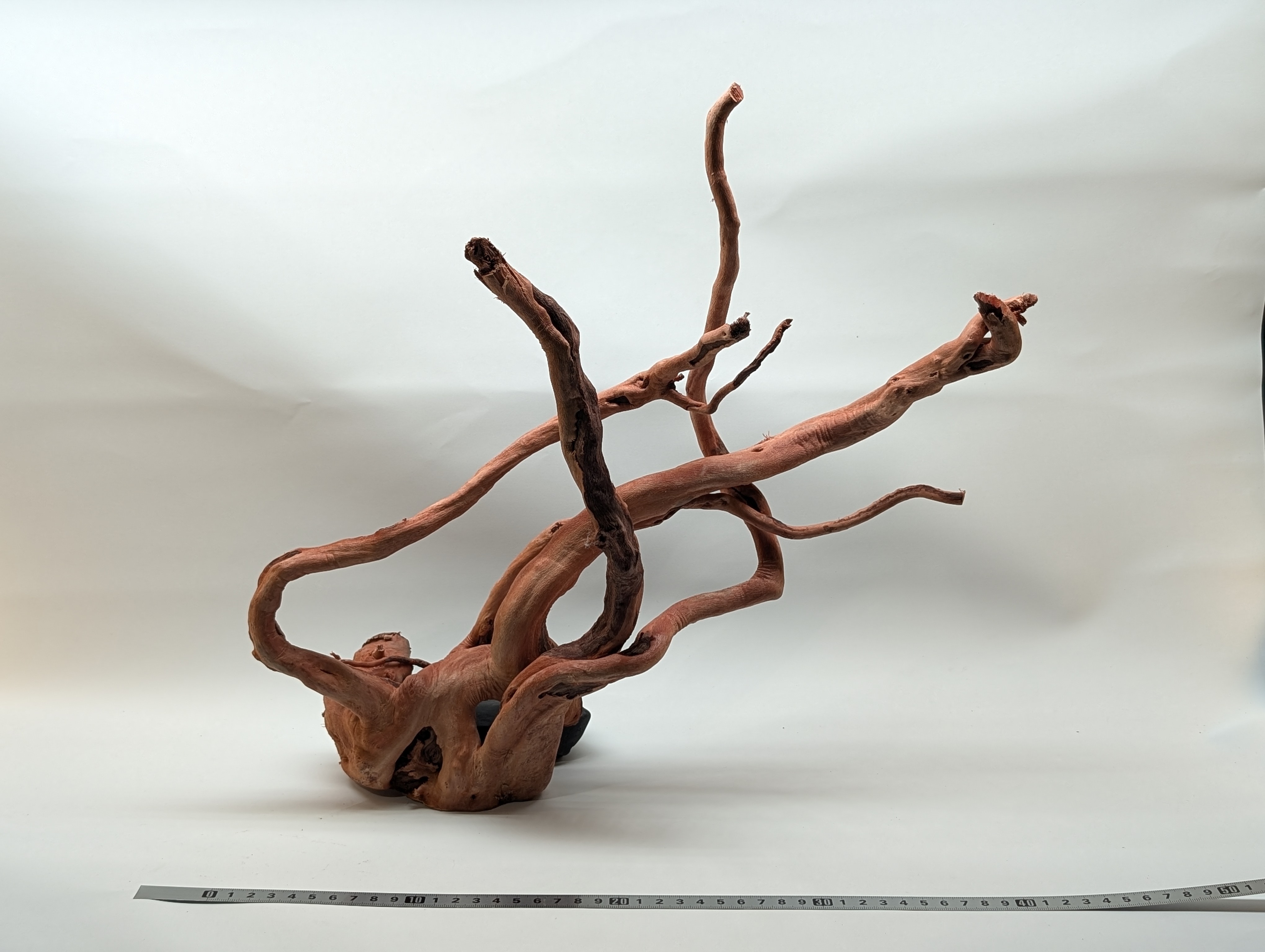 Aquarium Gold Vine driftwood XL 40-60cm