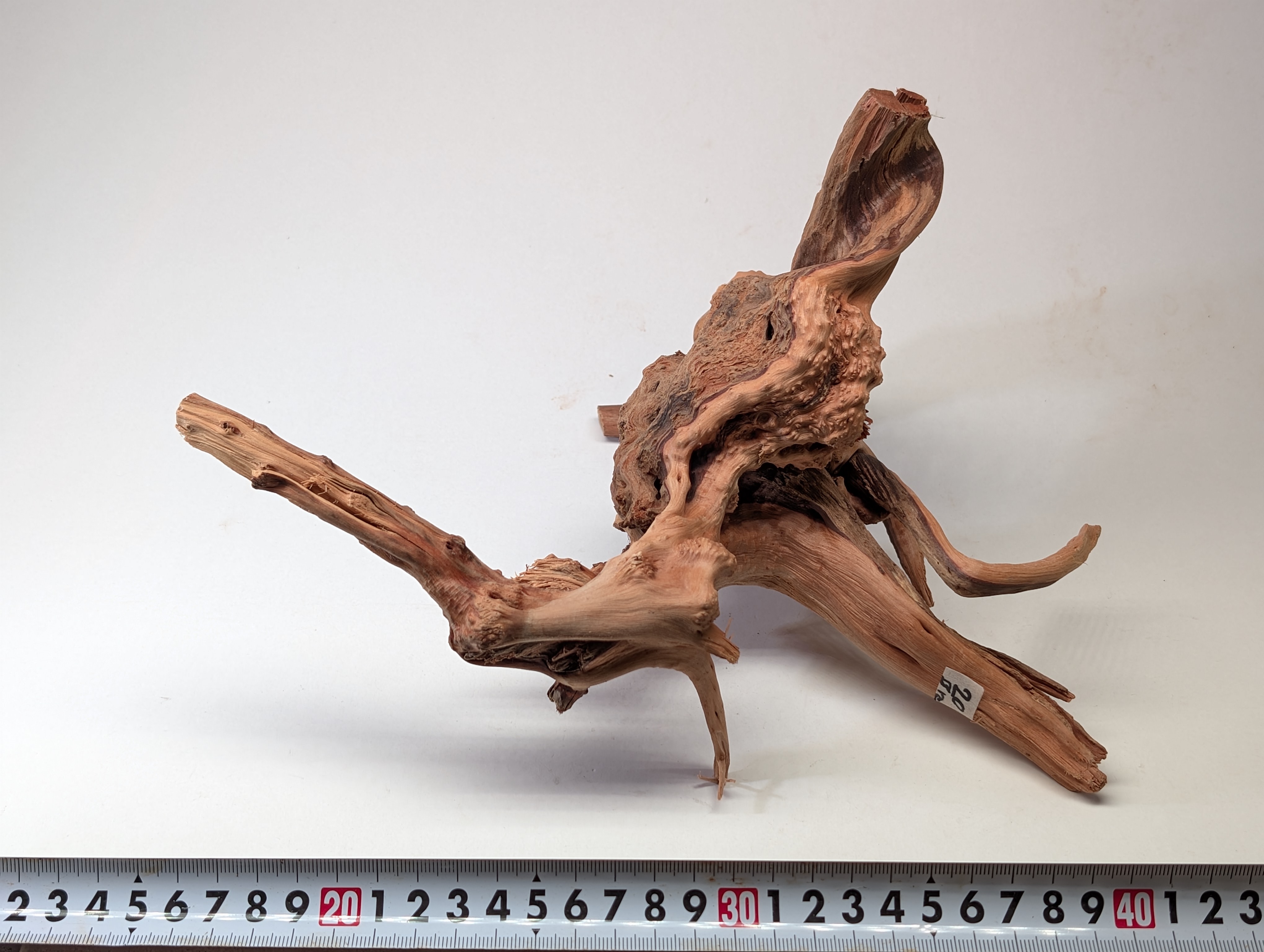 Aquarium gold vine driftwood  L size 20-30cm