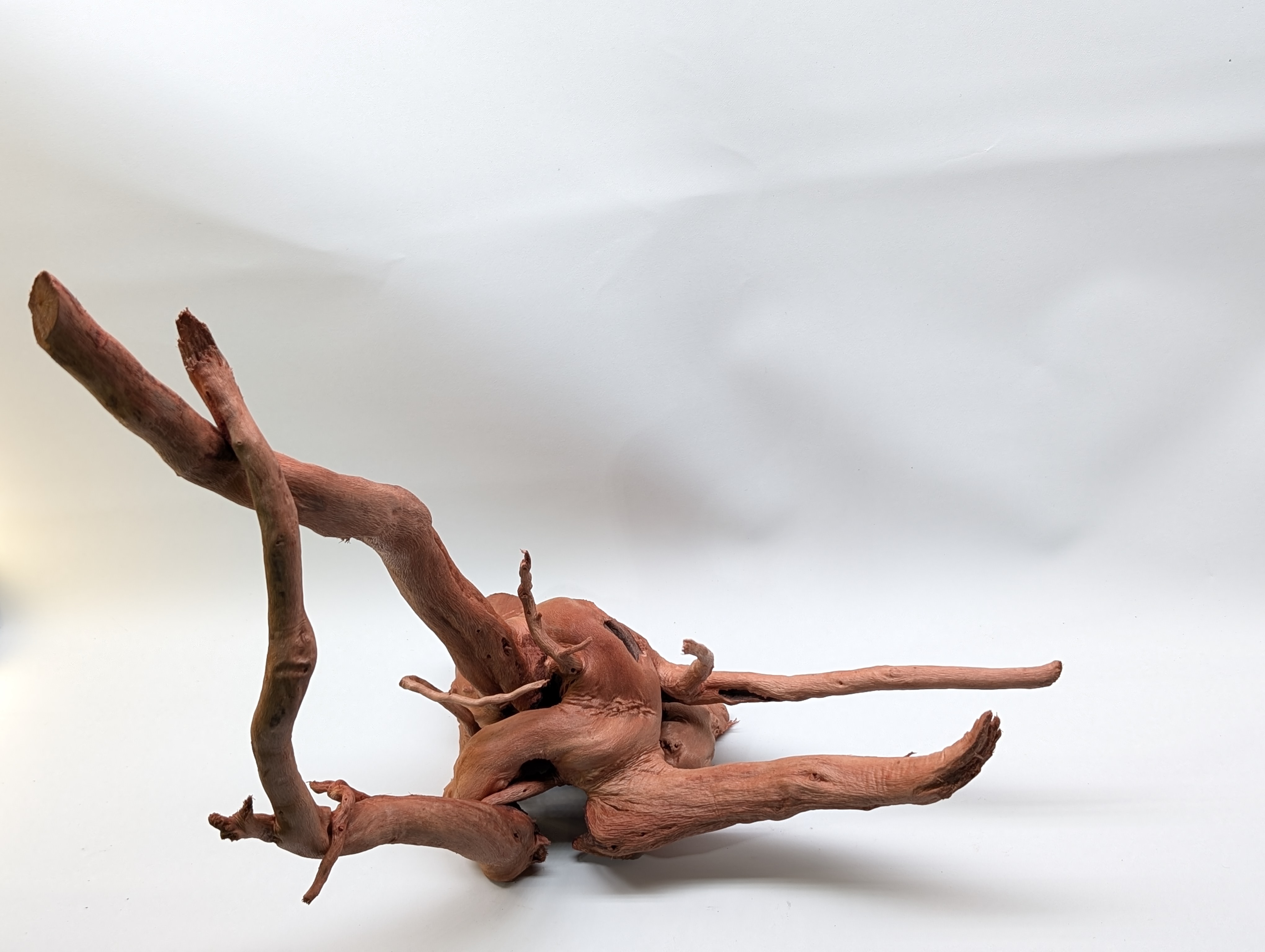 Aquarium gold vine driftwood L size 25-40cm