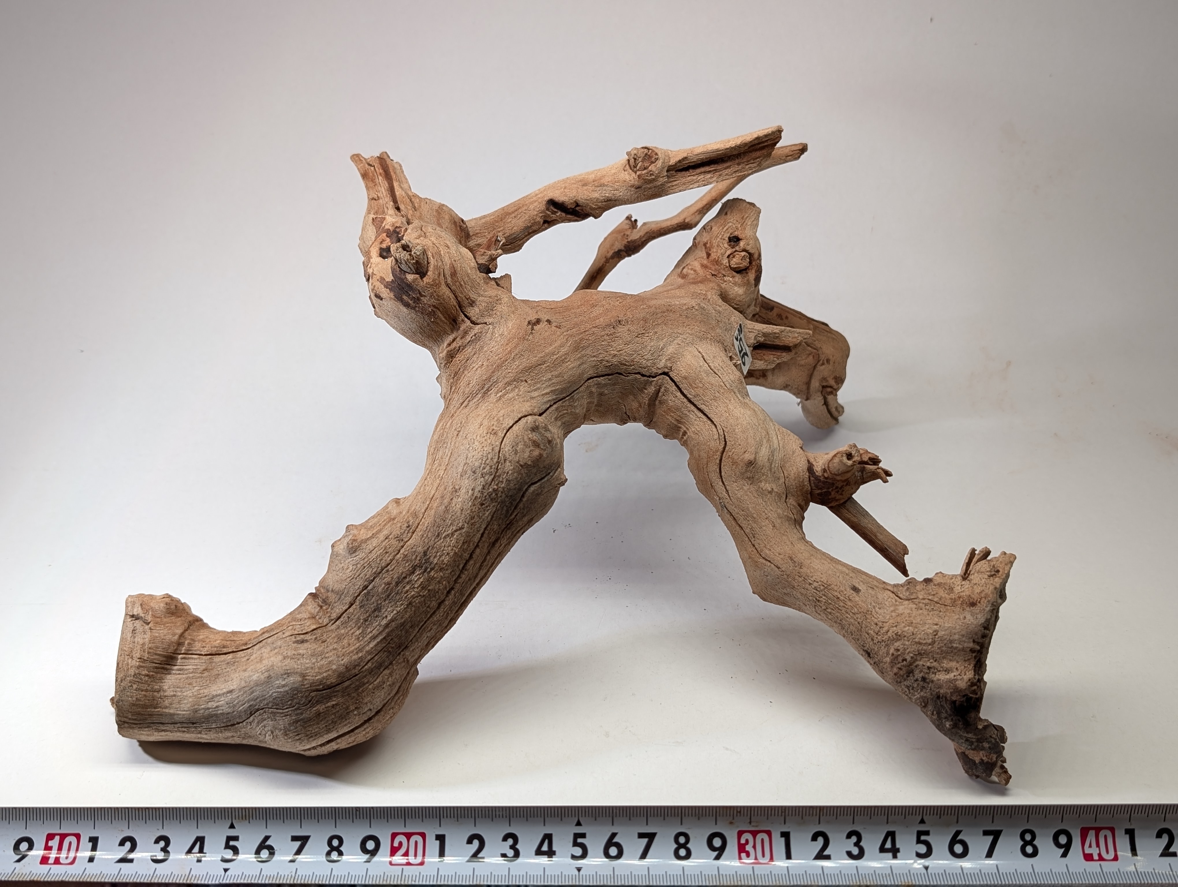 Aquarium driftwood  L size 25-40cm