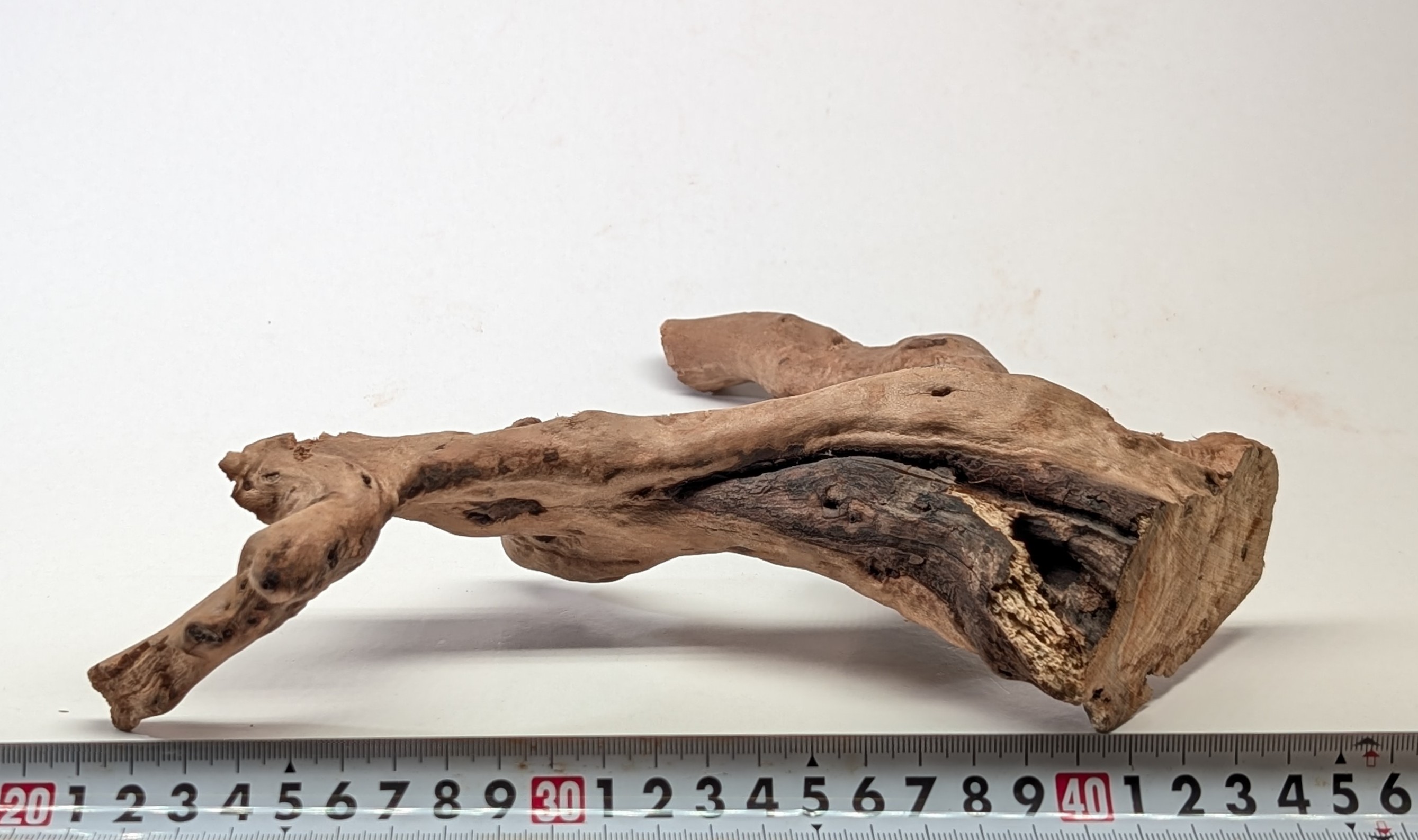 Aquarium drifrwood 20-25cm