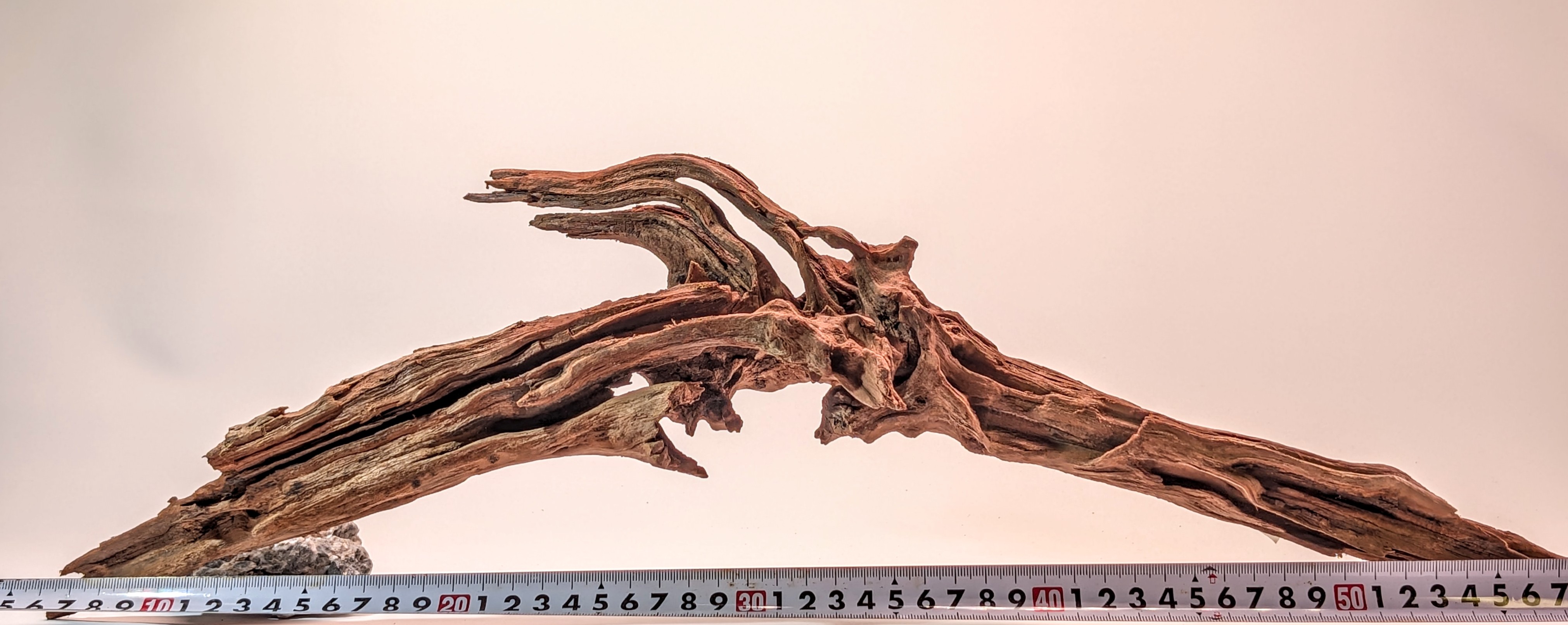 Natural driftwood  L size 40-60cm