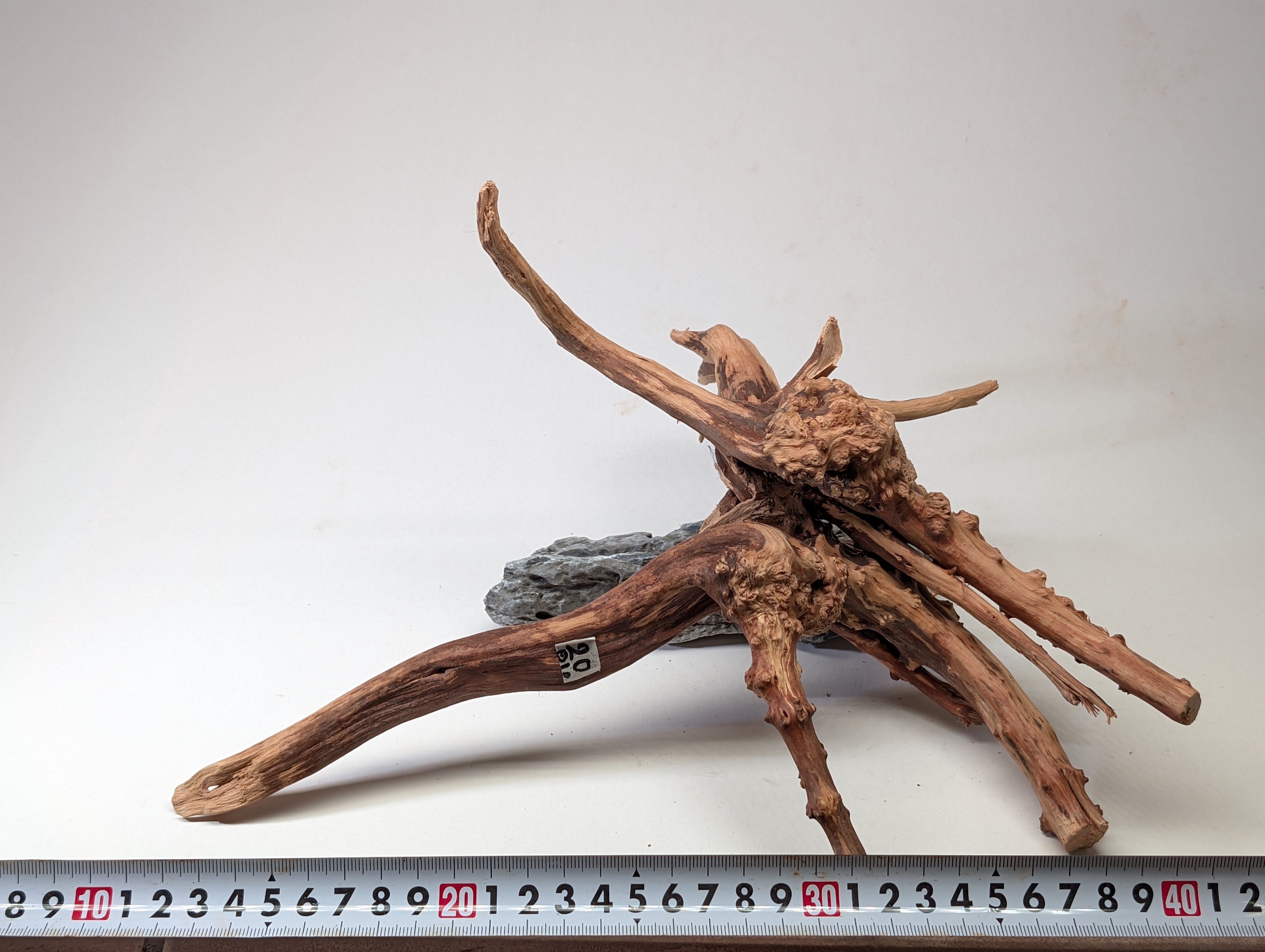 Aquarium gold vine driftwood  L size 25-40cm