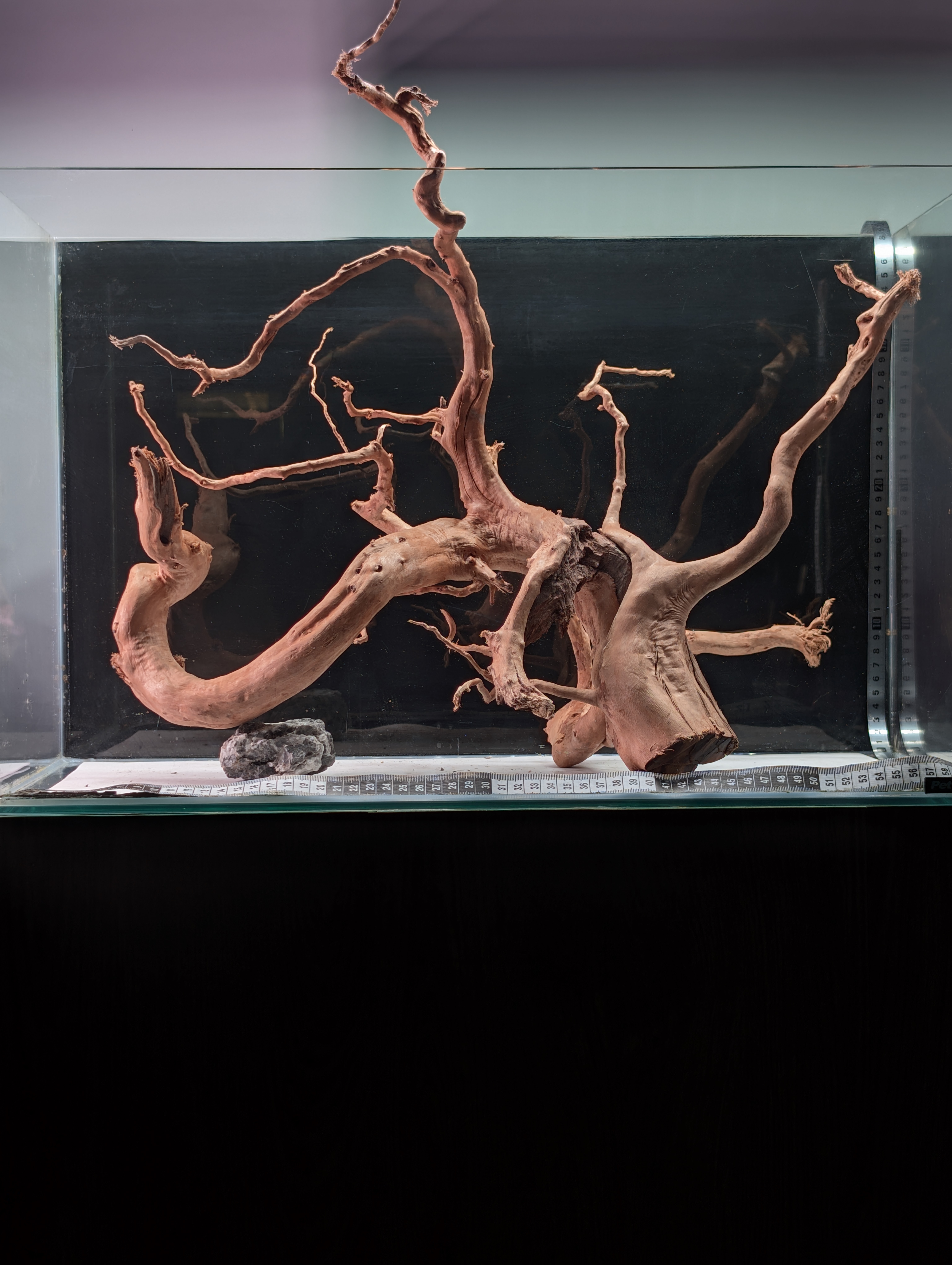 Aquarium Gold Vine driftwood XL 40-60cm