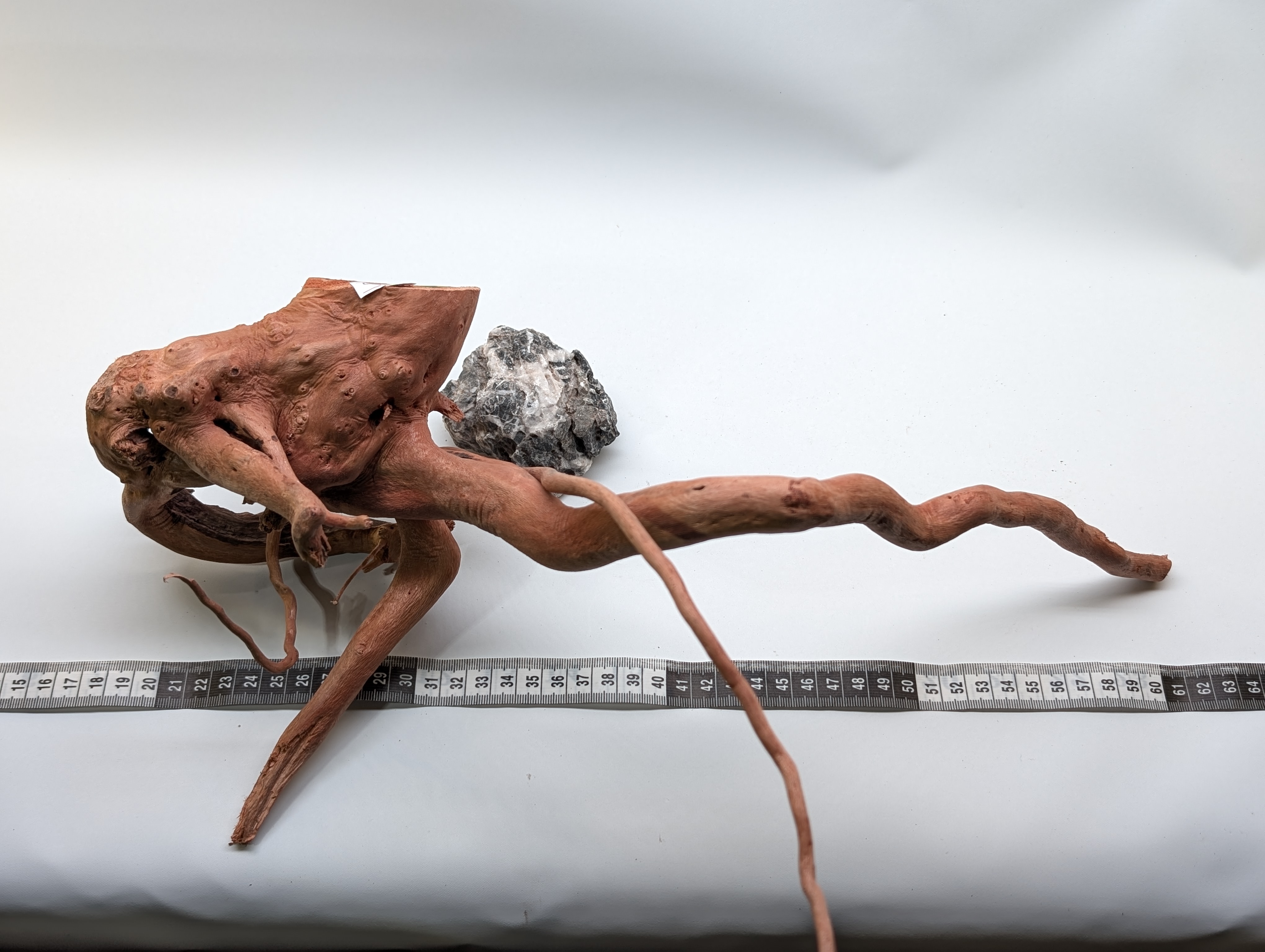 Aquarium gold vine driftwood  L size 25-40cm