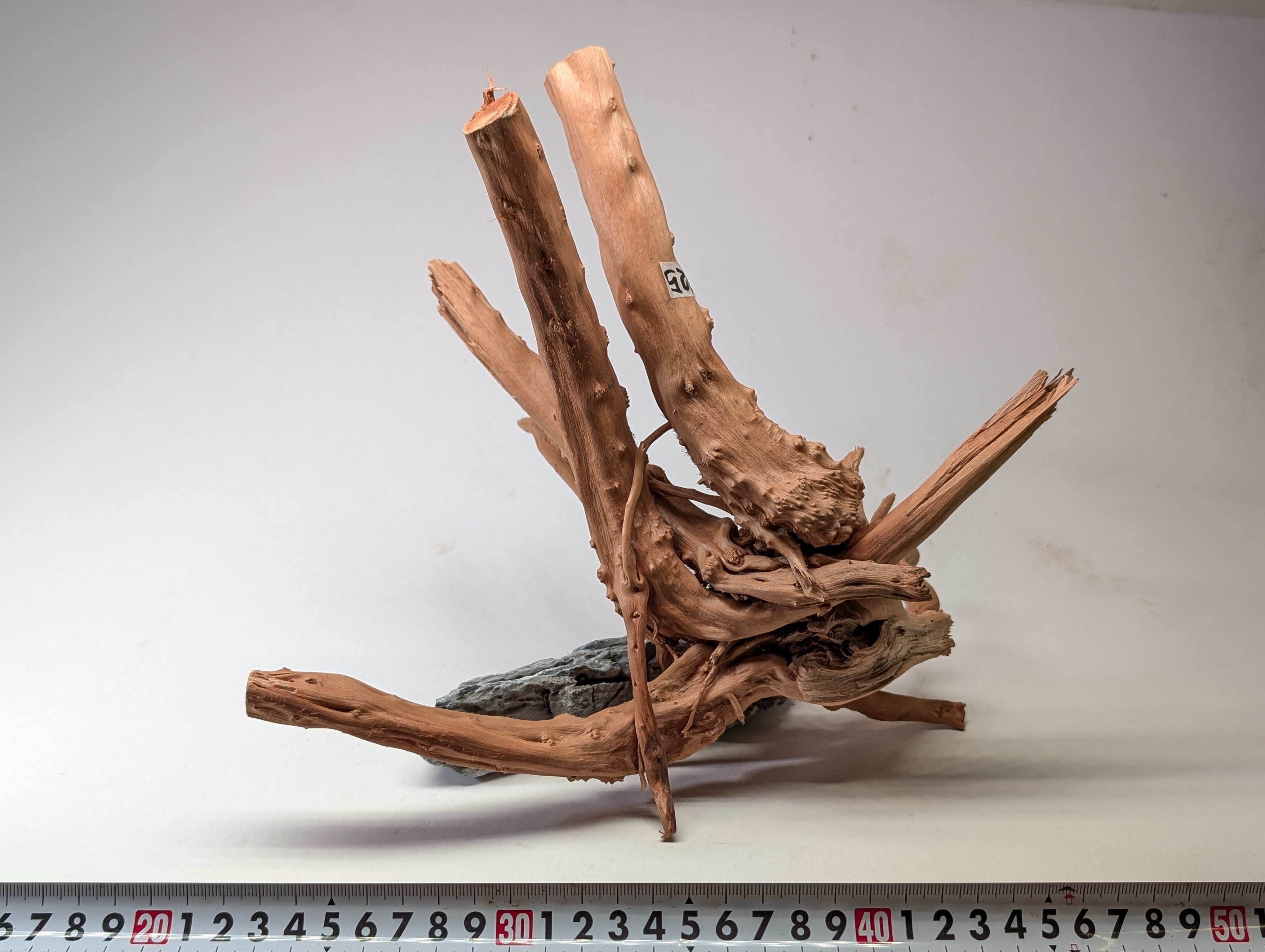 Aquarium gold vine driftwood  L size 25-40cm