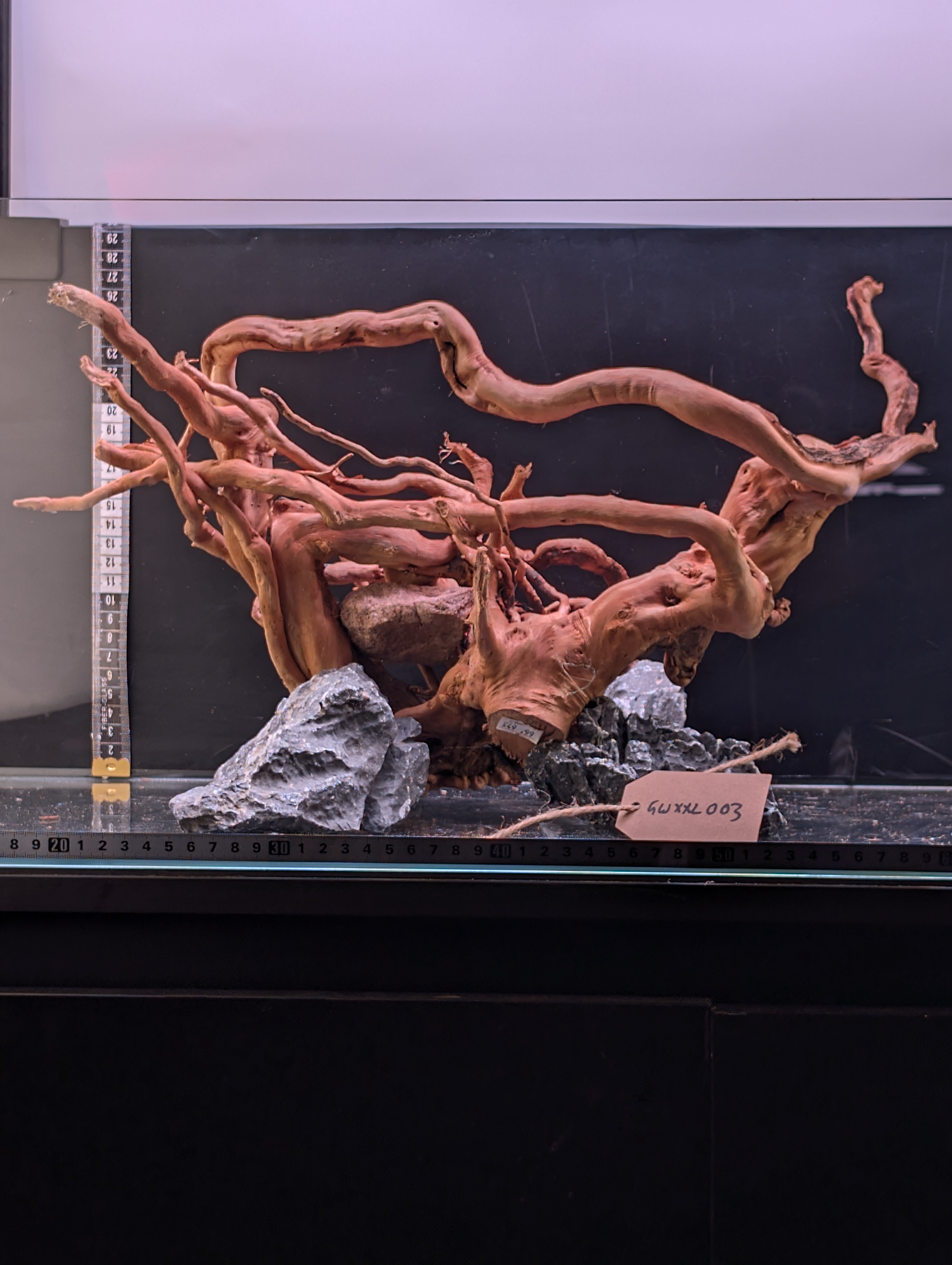 Aquarium Gold Vine driftwood  XL 40-60cm