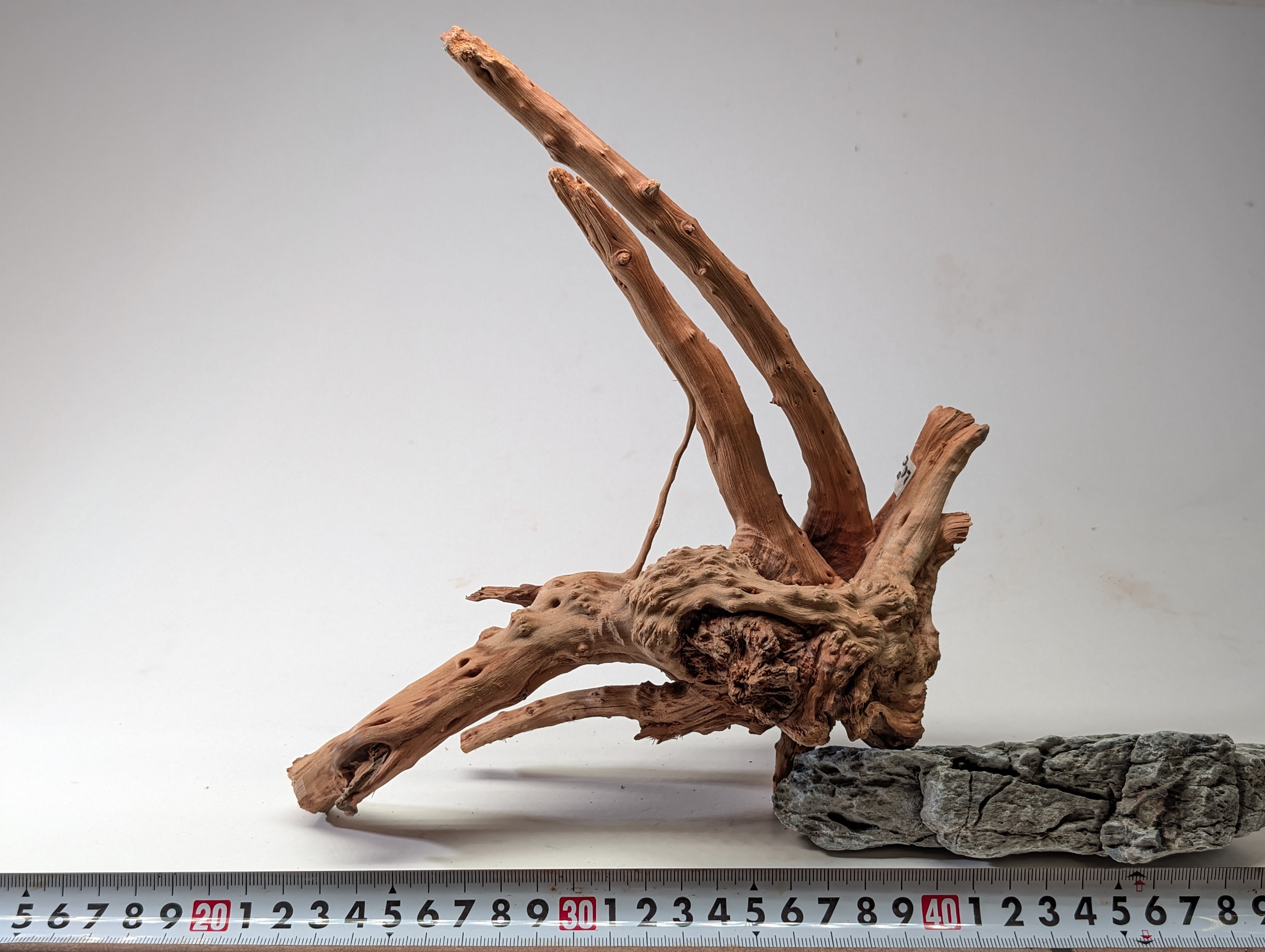 Aquarium gold vine driftwood  L size 20-30cm