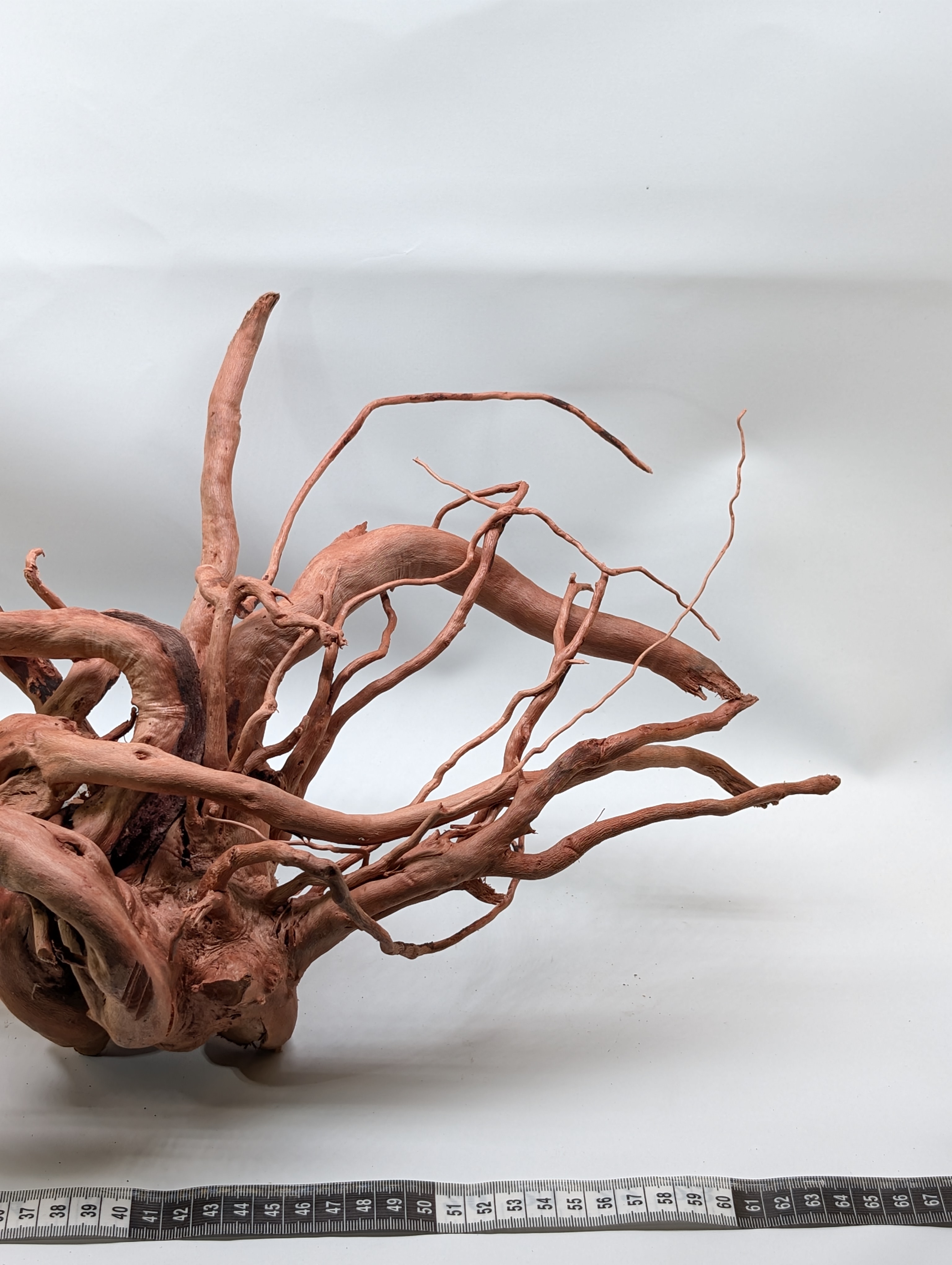 Aquarium Gold Vine driftwood  XL 40-60cm