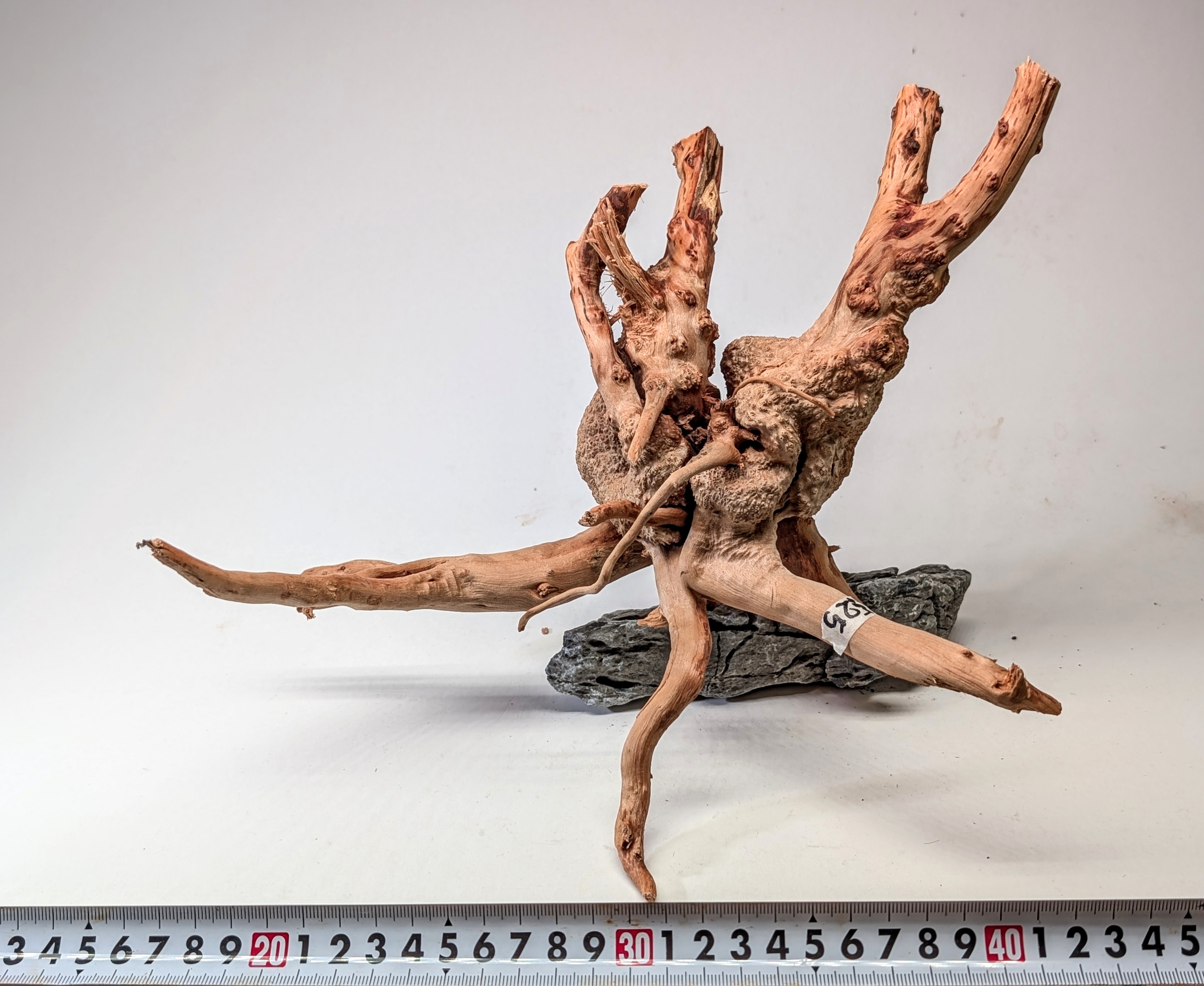 Aquarium gold vine driftwood L size 25-40cm