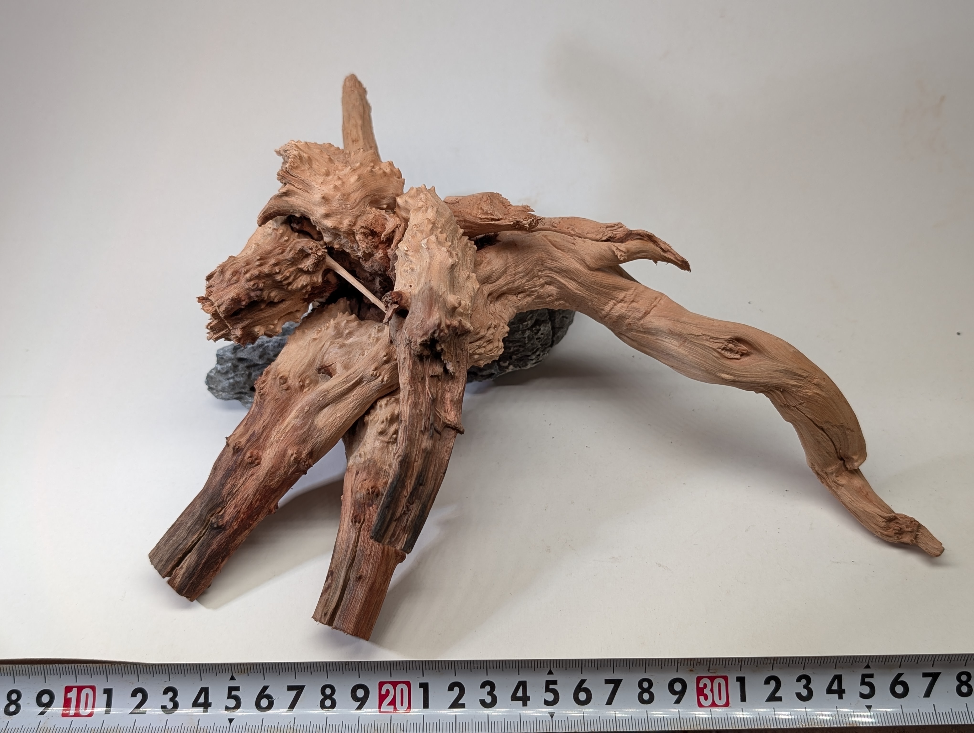 Aquarium gold vine driftwood  L size 25-40cm