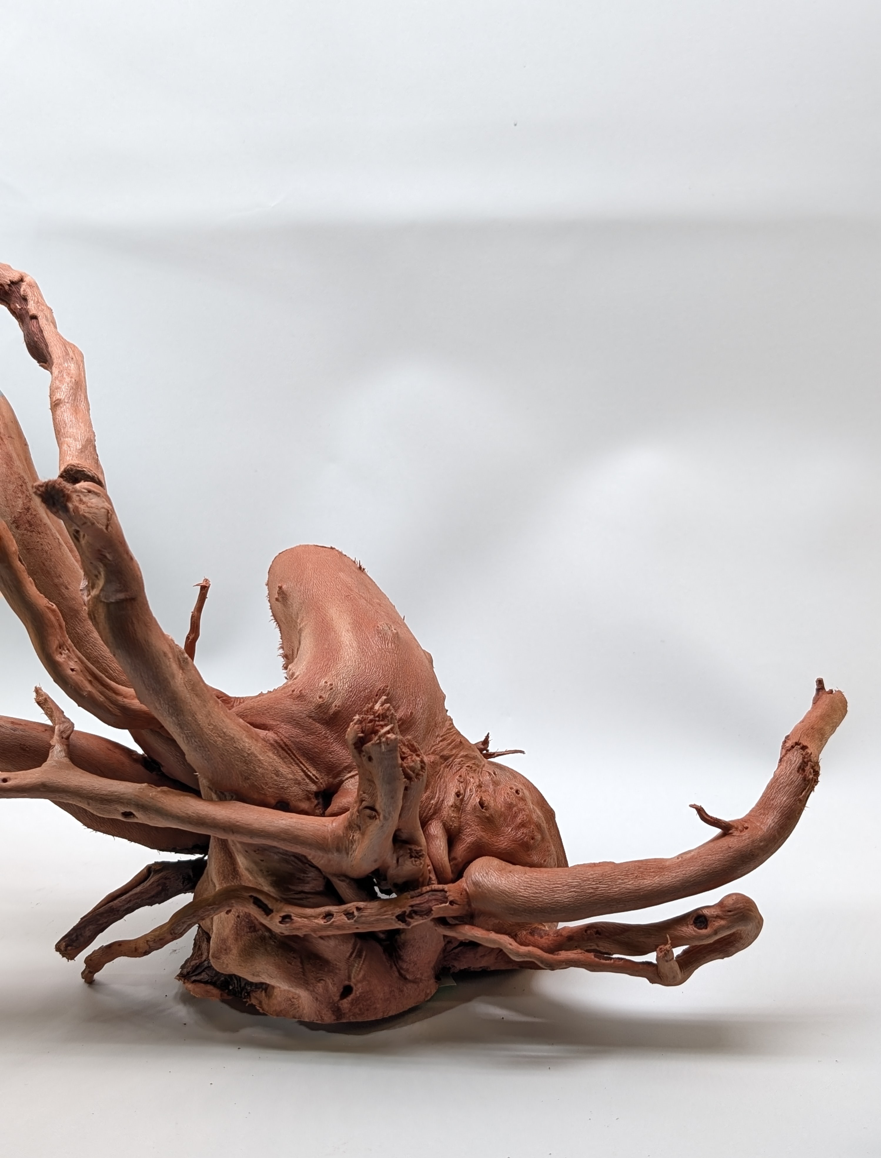 Aquarium Gold Vine driftwood  XL 40-60cm