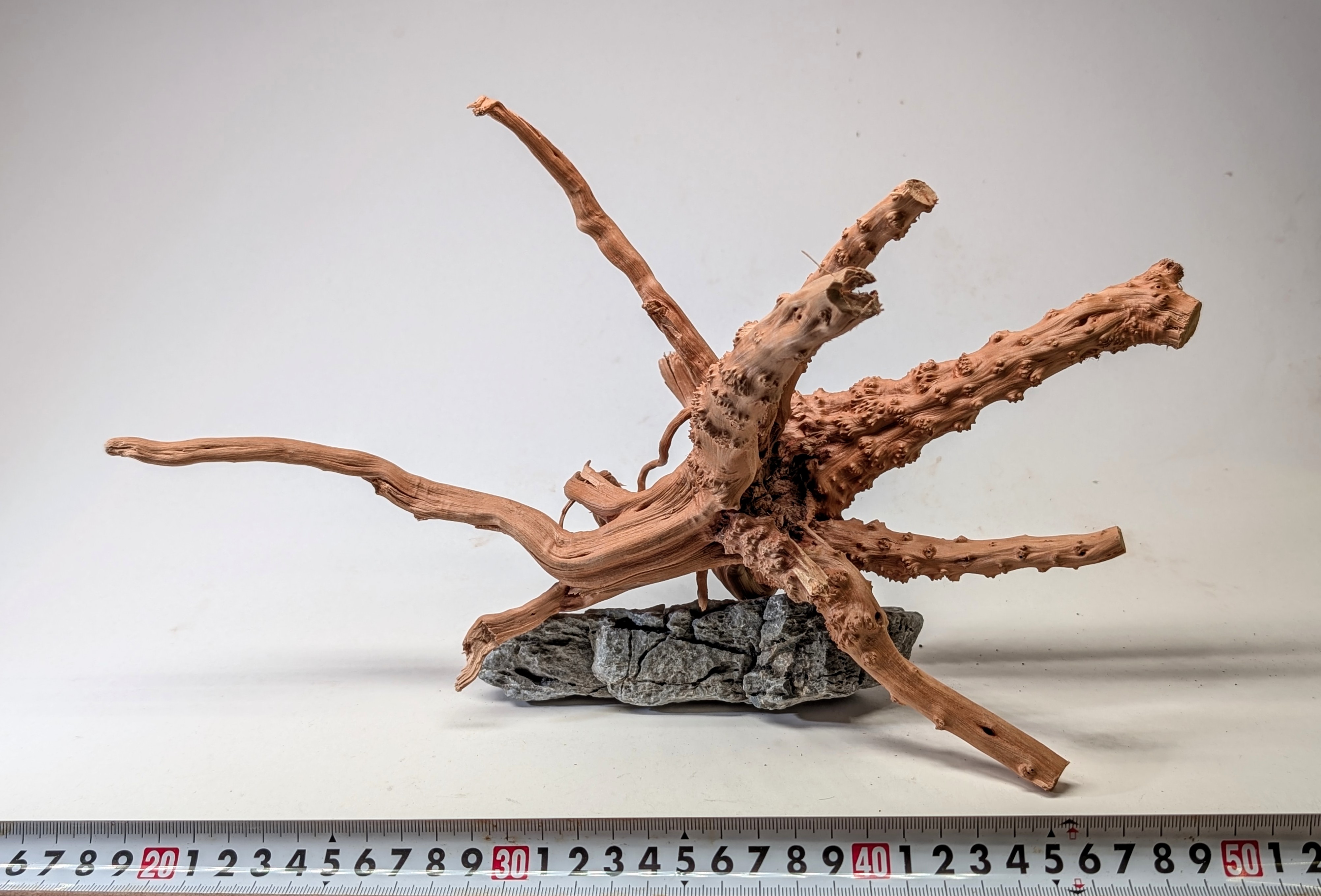 Aquarium gold vine driftwood  L size 25-40cm