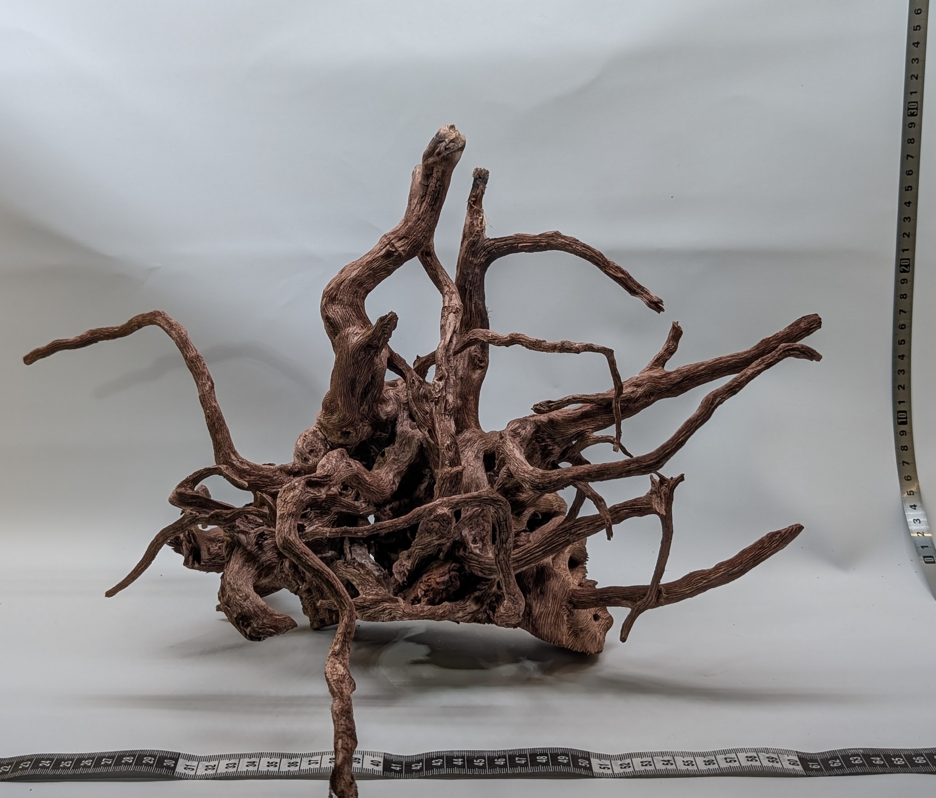 Aquarium Gold Vine driftwood jungle XL 40-60cm