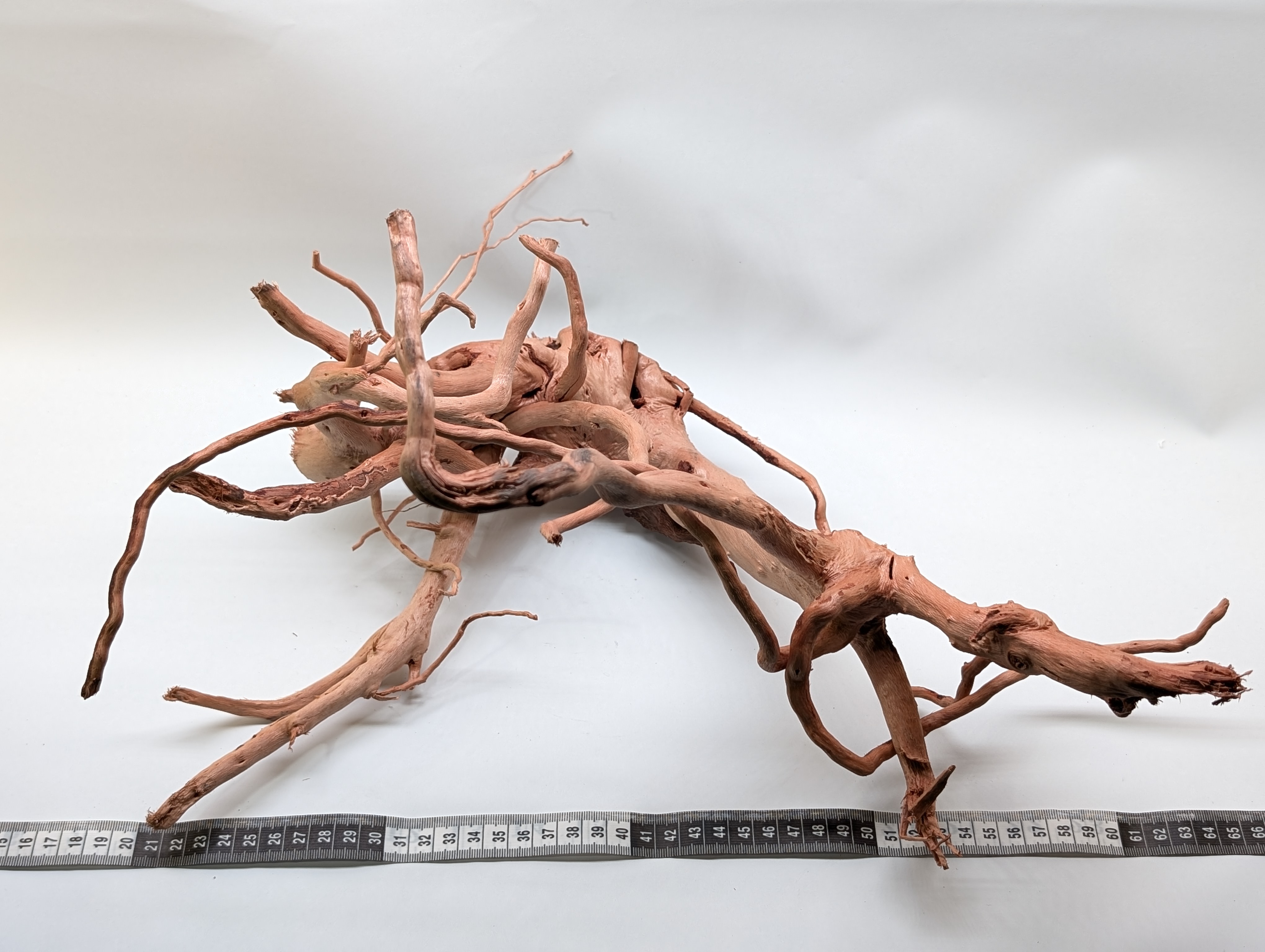 Aquarium Gold Vine driftwood  XL 40-60cm