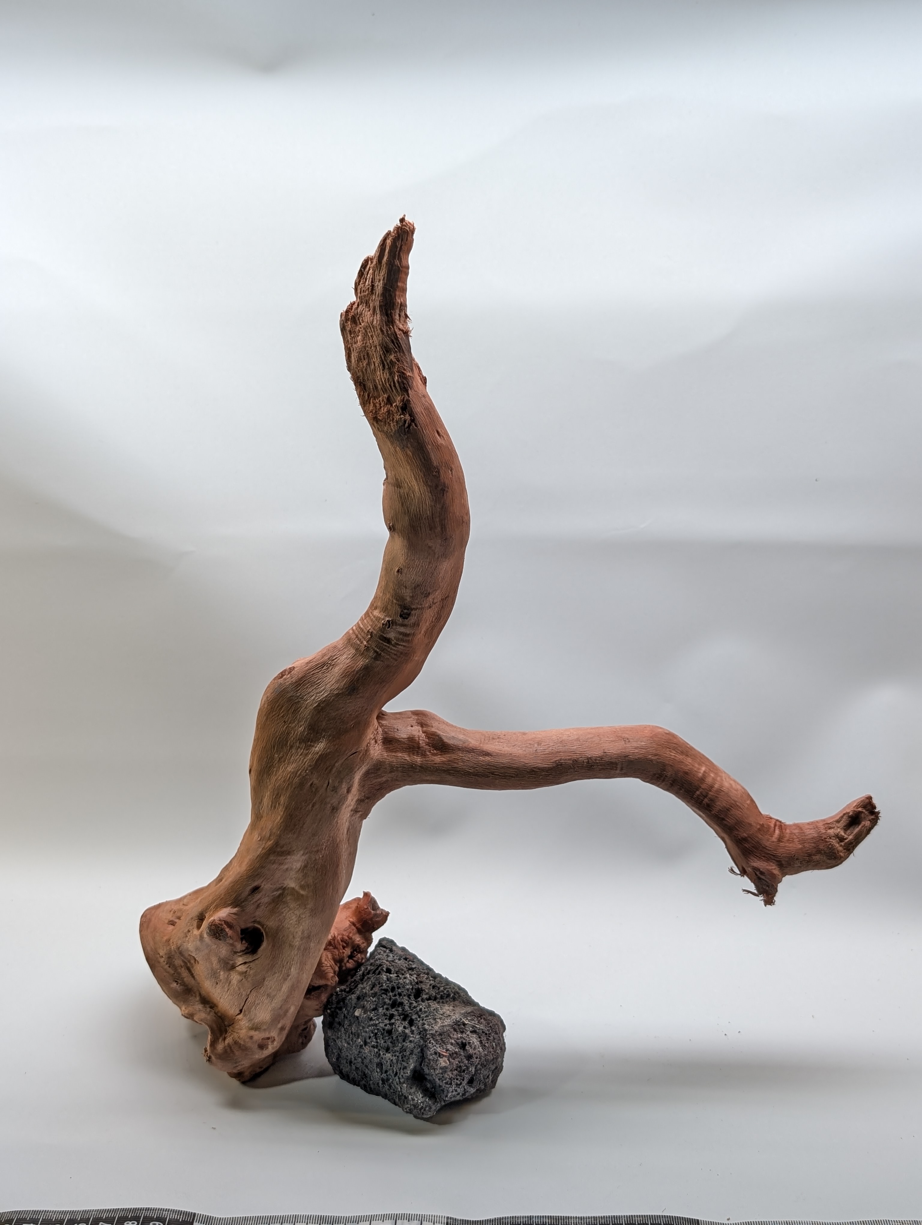 Aquarium gold vine driftwood L size 25-40cm