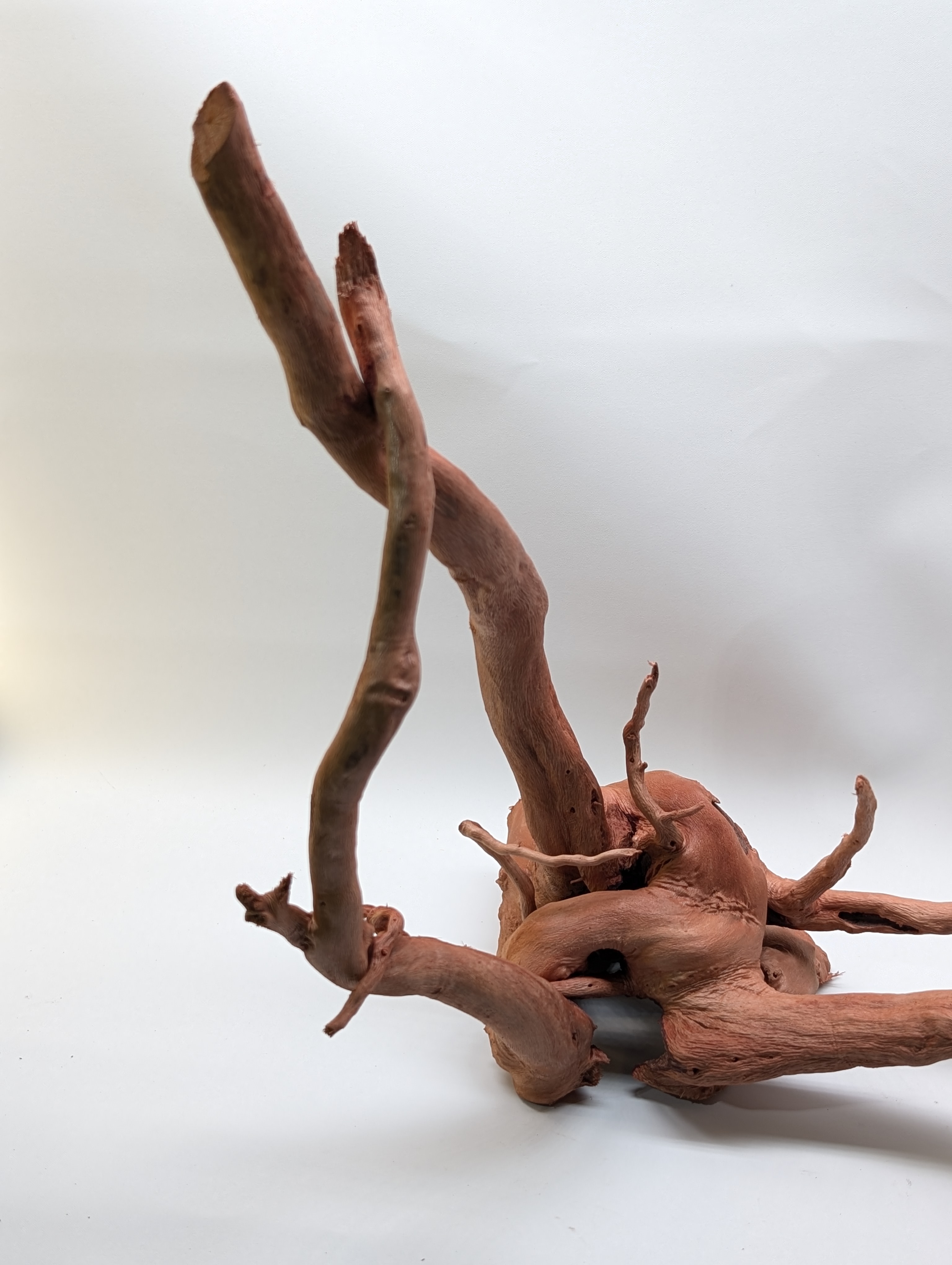 Aquarium gold vine driftwood  L size 25-40cm