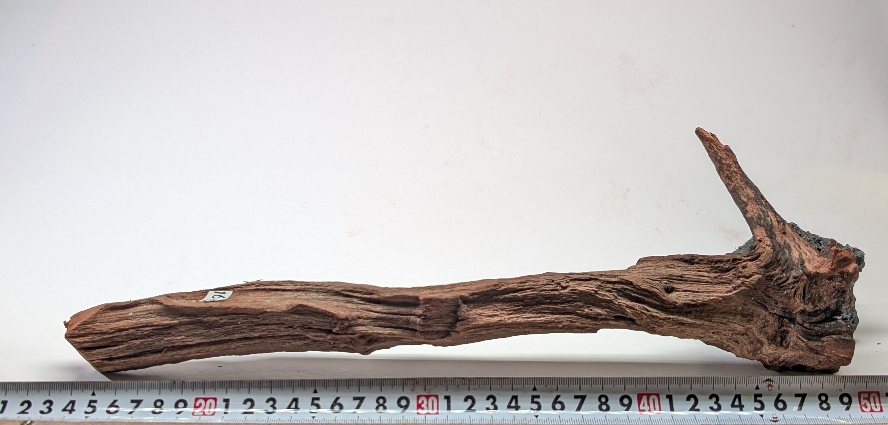 Aquarium drifrwood Medium 30cm