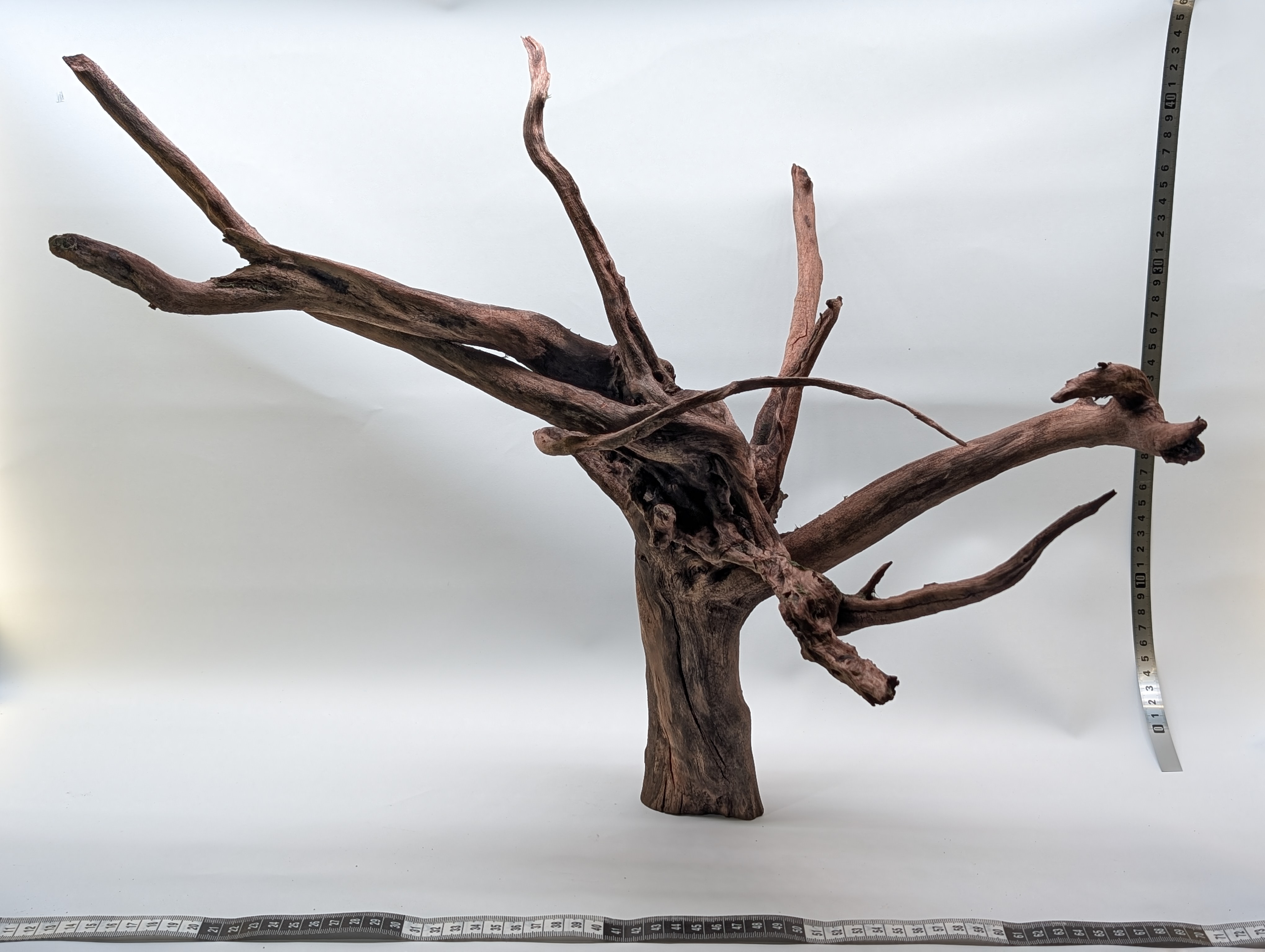 Aquarium Gold Vine driftwood XL 40-60cm