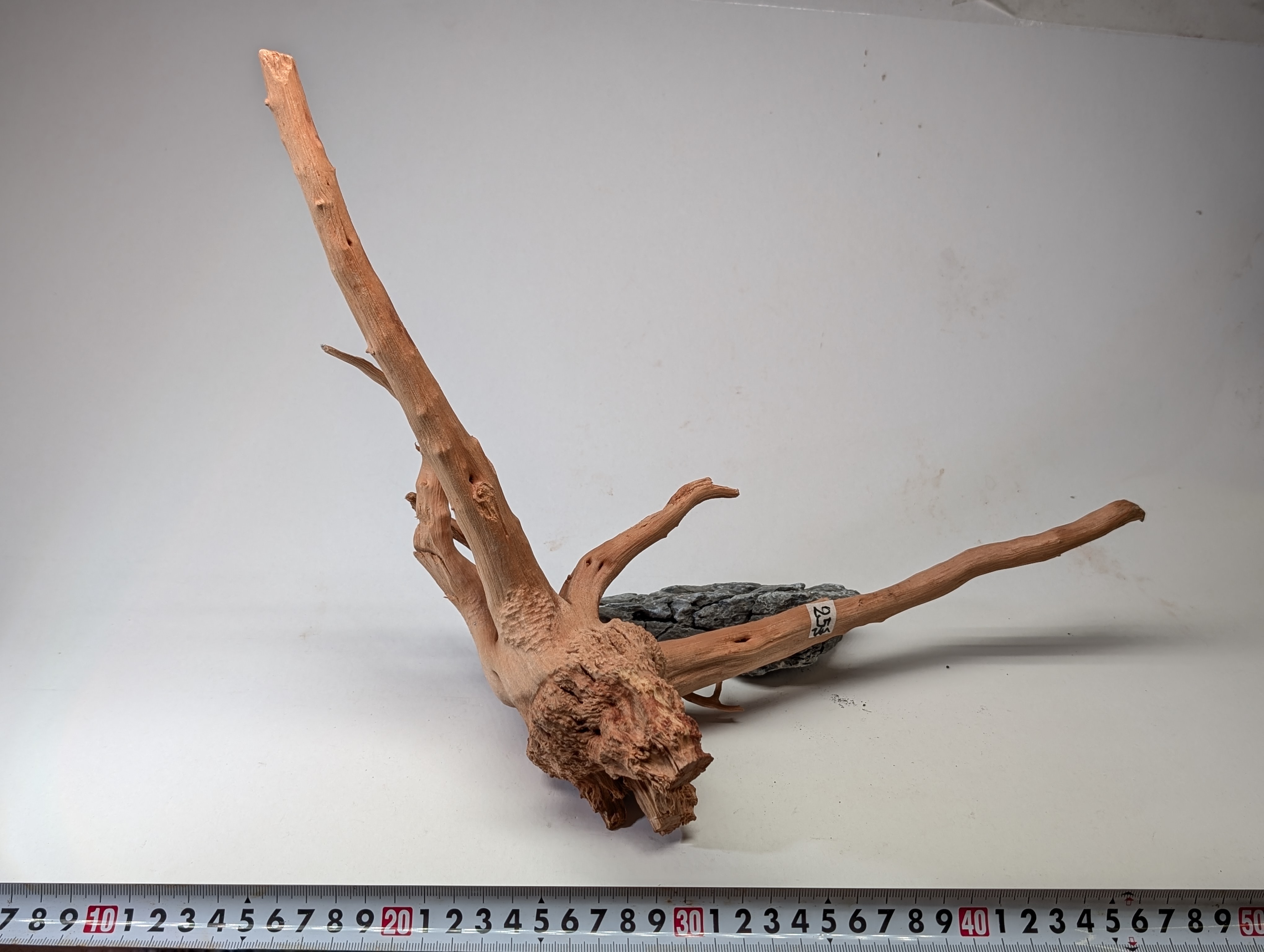 Aquarium gold vine driftwood  L size 25-40cm