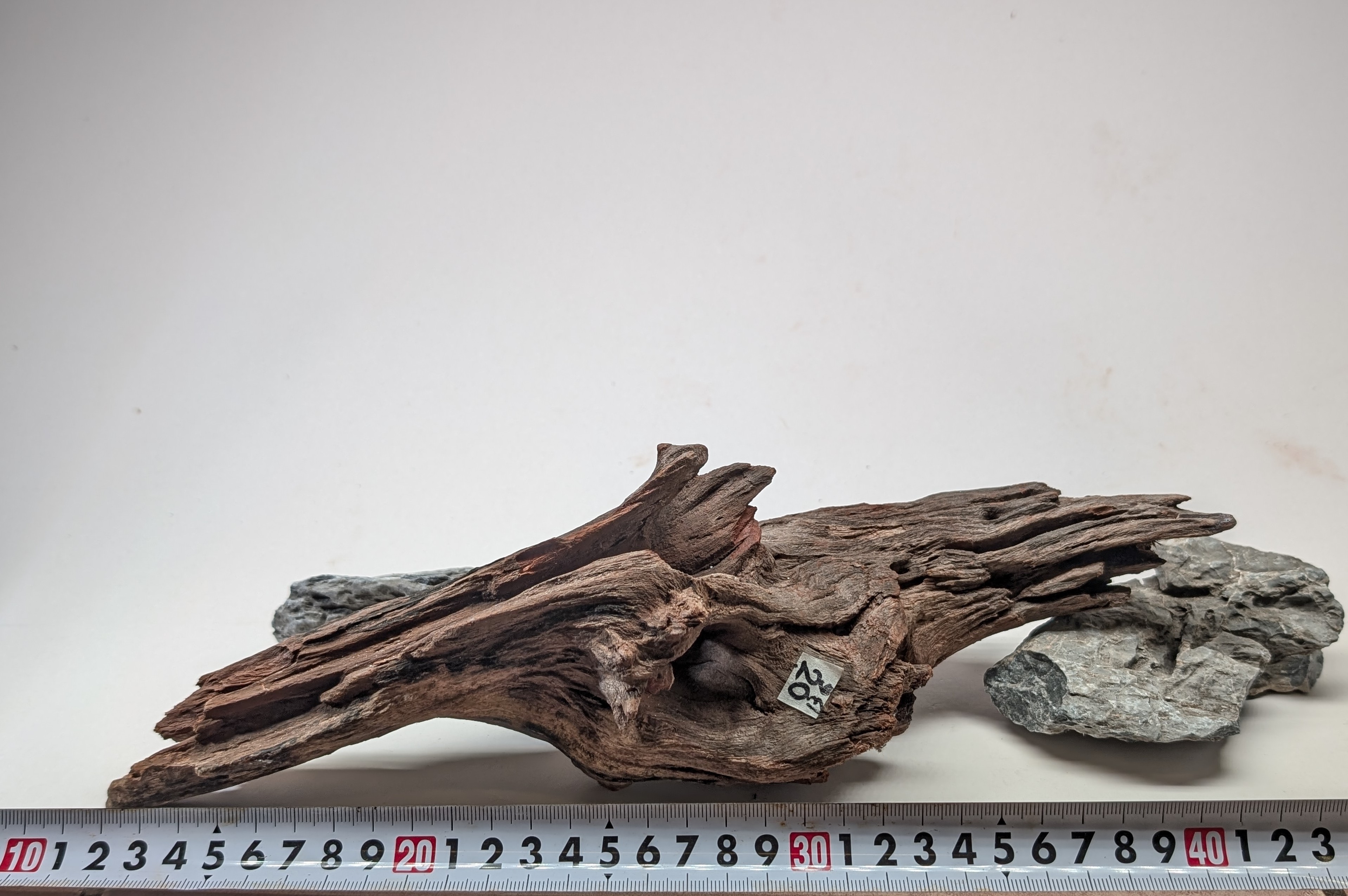 Natural driftwood  L size 25-40cm