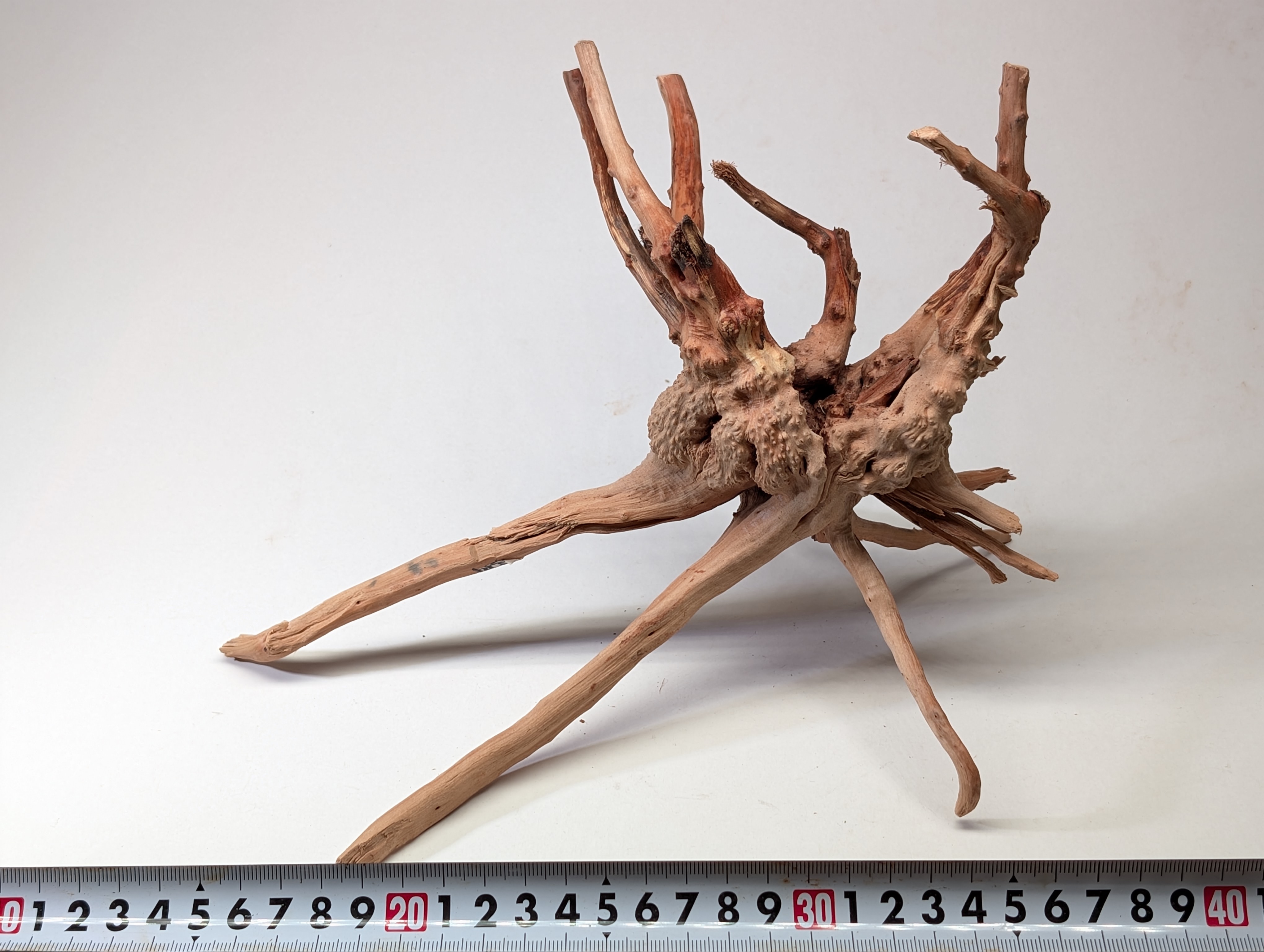 Aquarium gold vine driftwood  L size 25-40cm