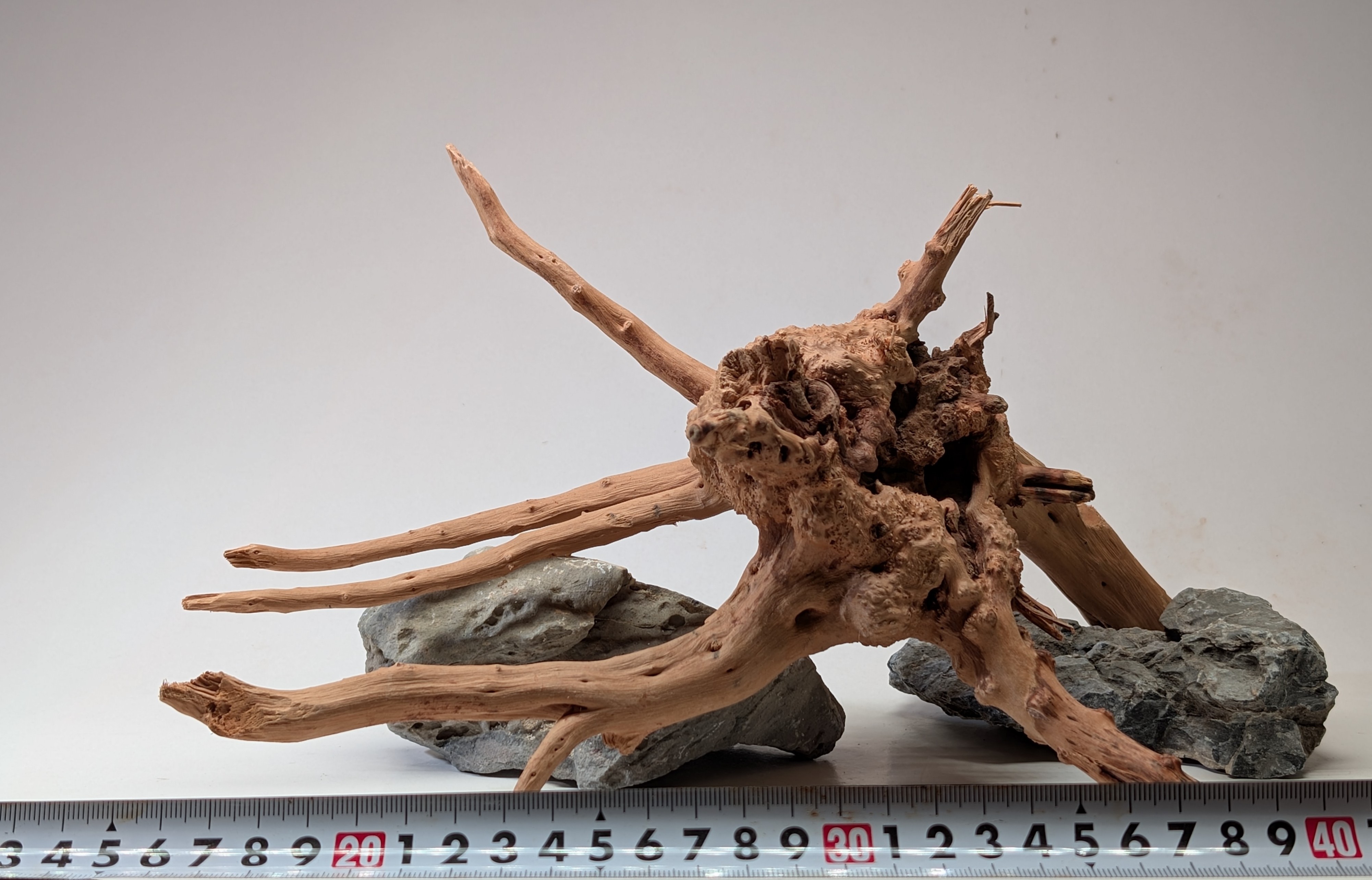 Aquarium gold vine driftwood  L size 25-40cm
