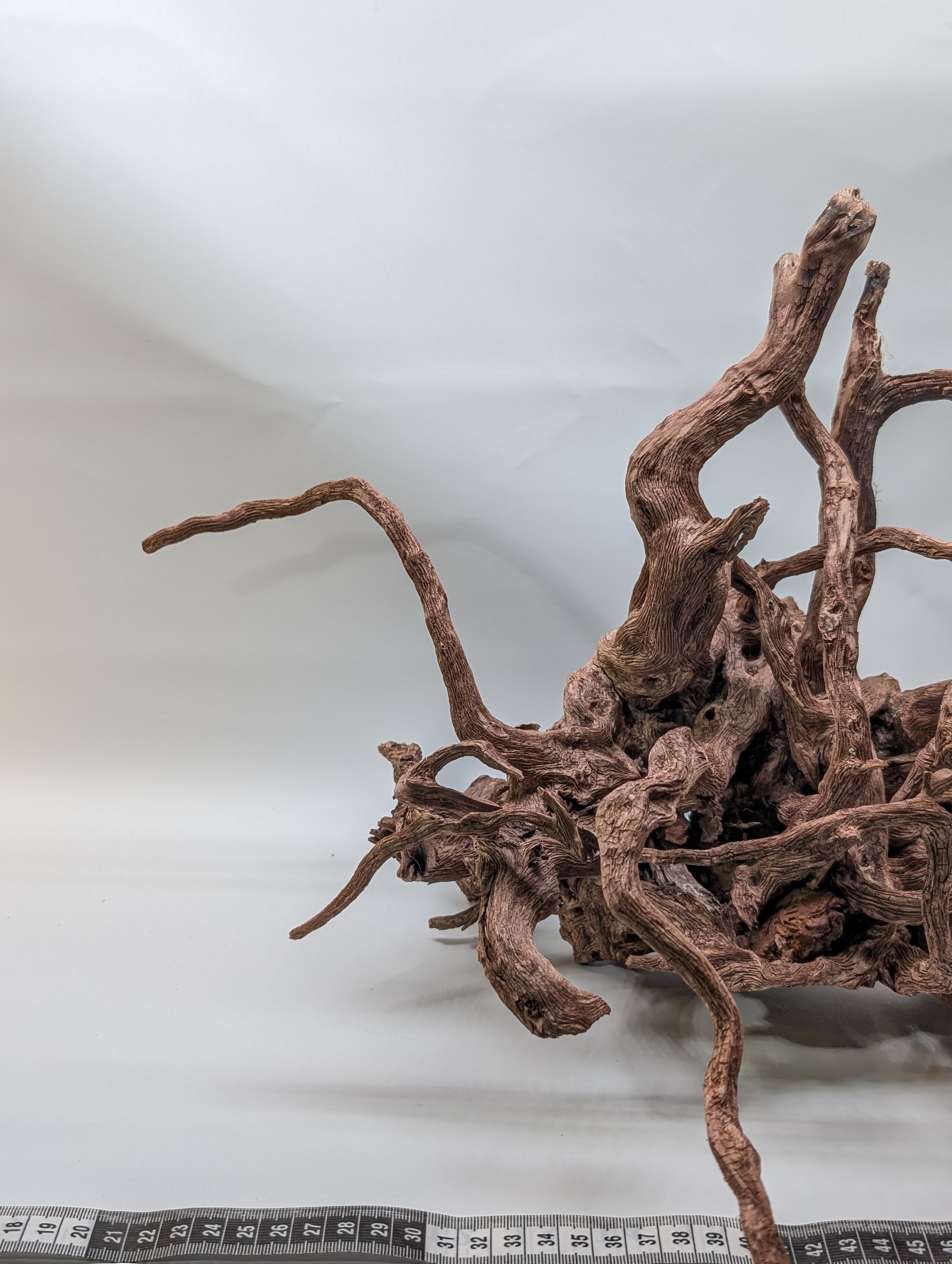 Aquarium Gold Vine driftwood jungle XL 40-60cm