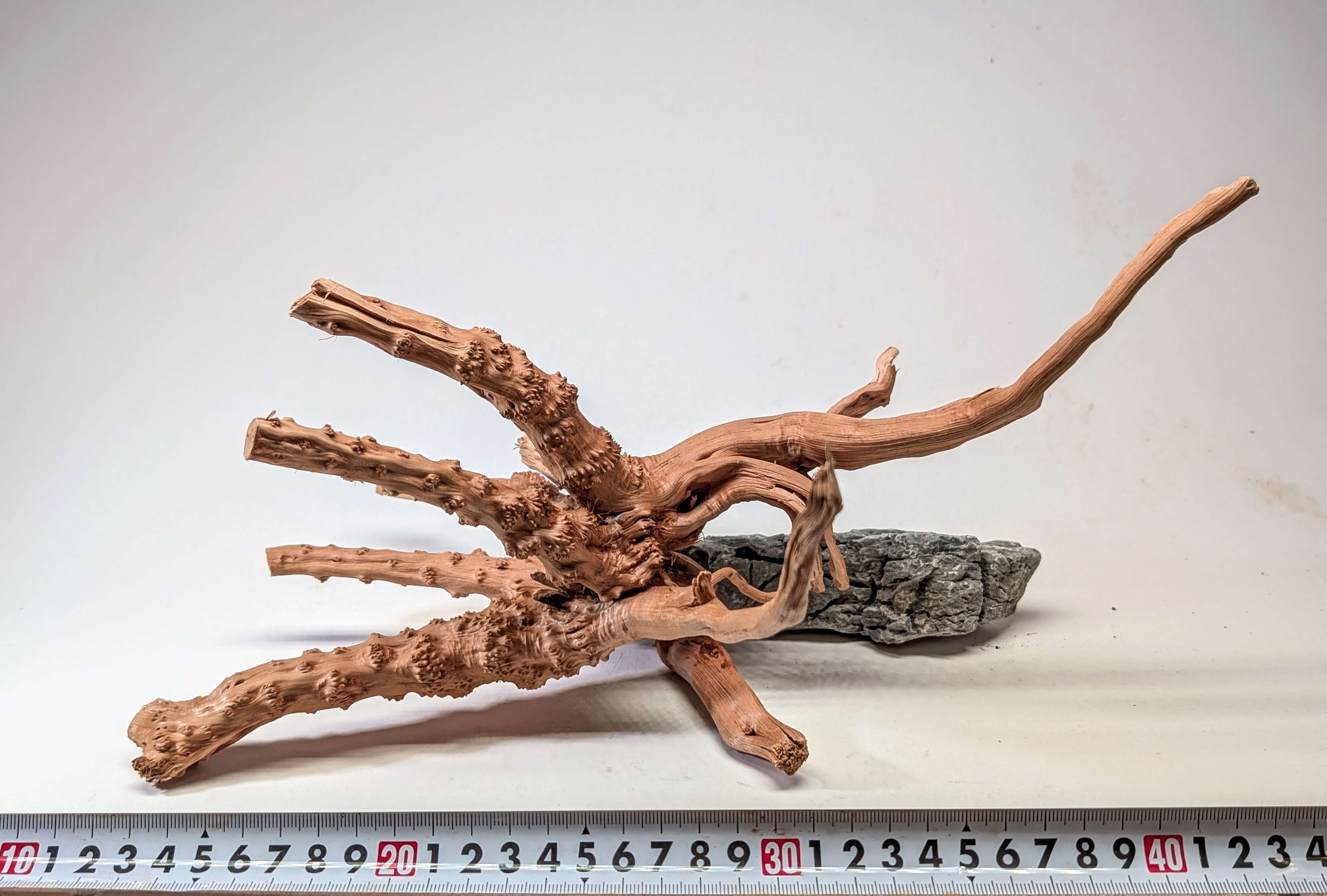 Aquarium gold vine driftwood  L size 25-40cm