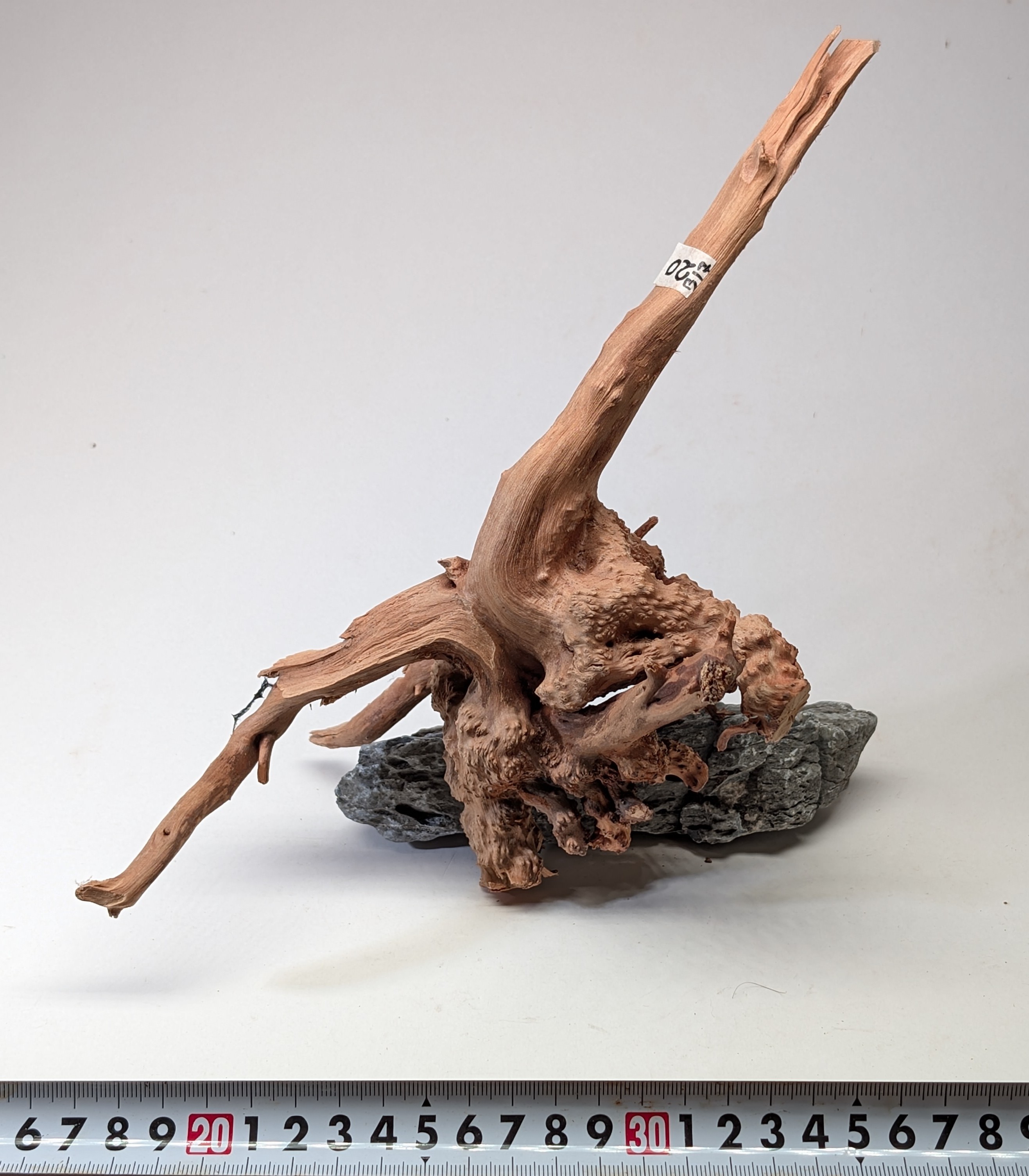 Aquarium gold vine driftwood  L size 25-40cm