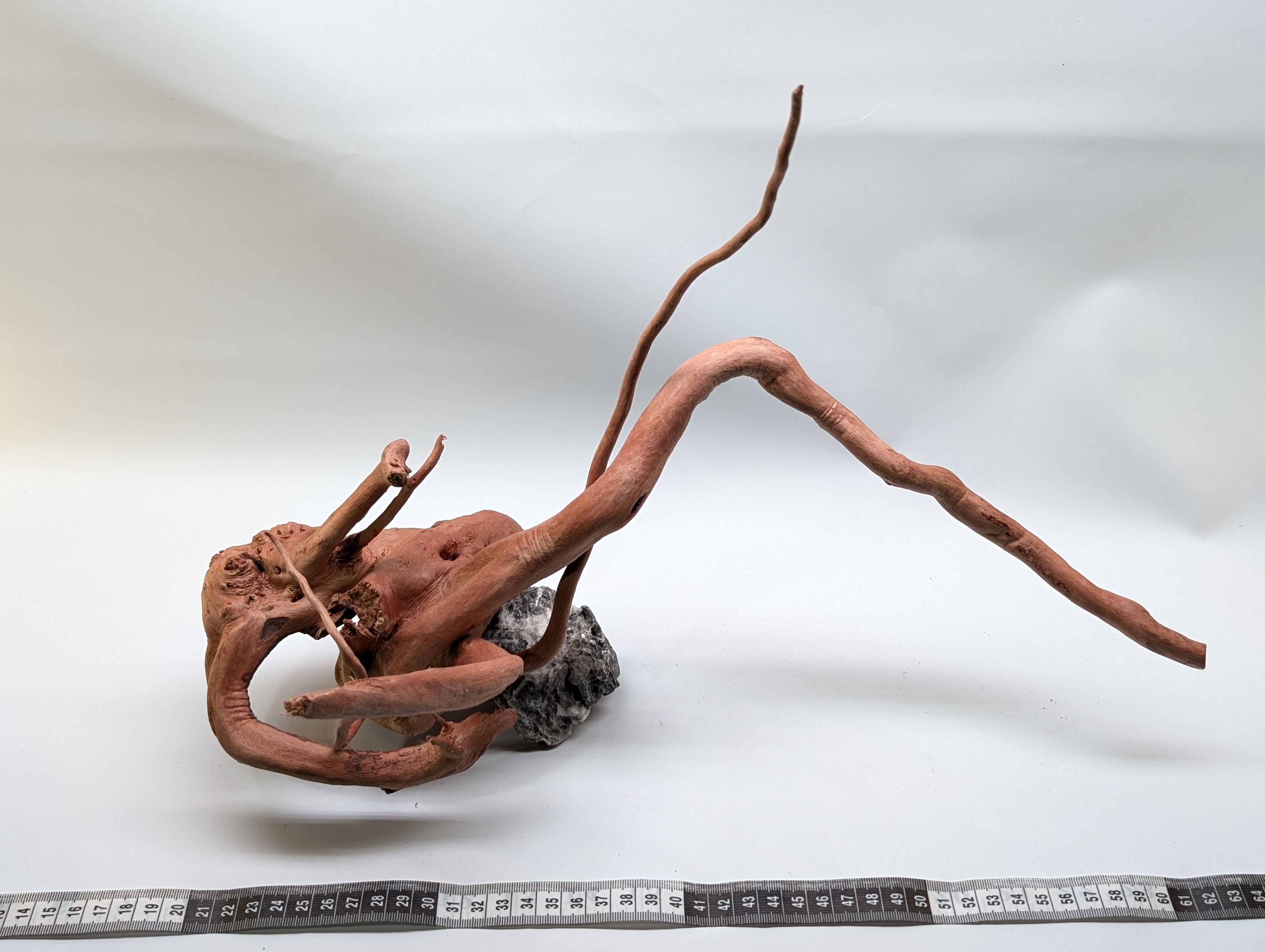 Aquarium gold vine driftwood L size 25-40cm