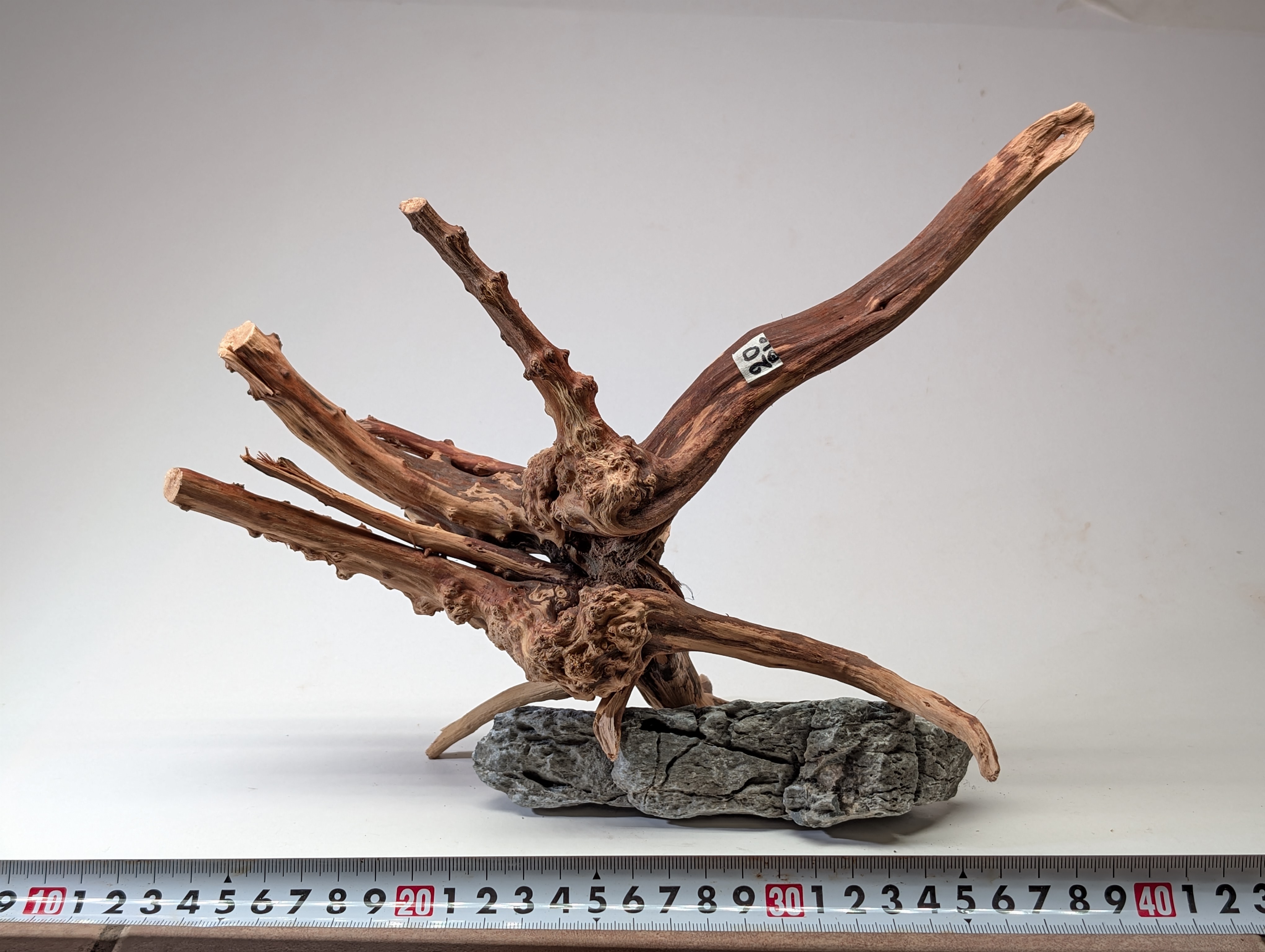 Aquarium gold vine driftwood L size 25-40cm