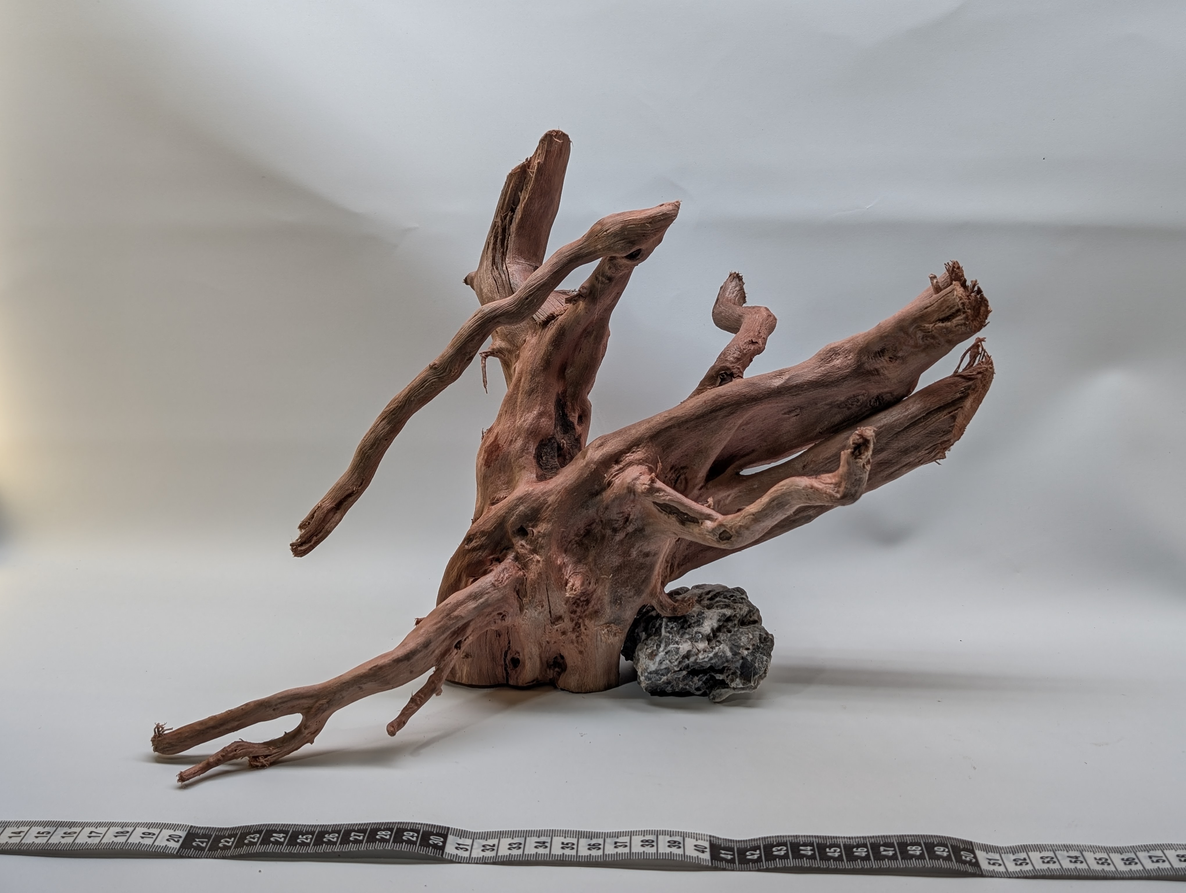 Aquarium gold vine driftwood L size 25-40cm