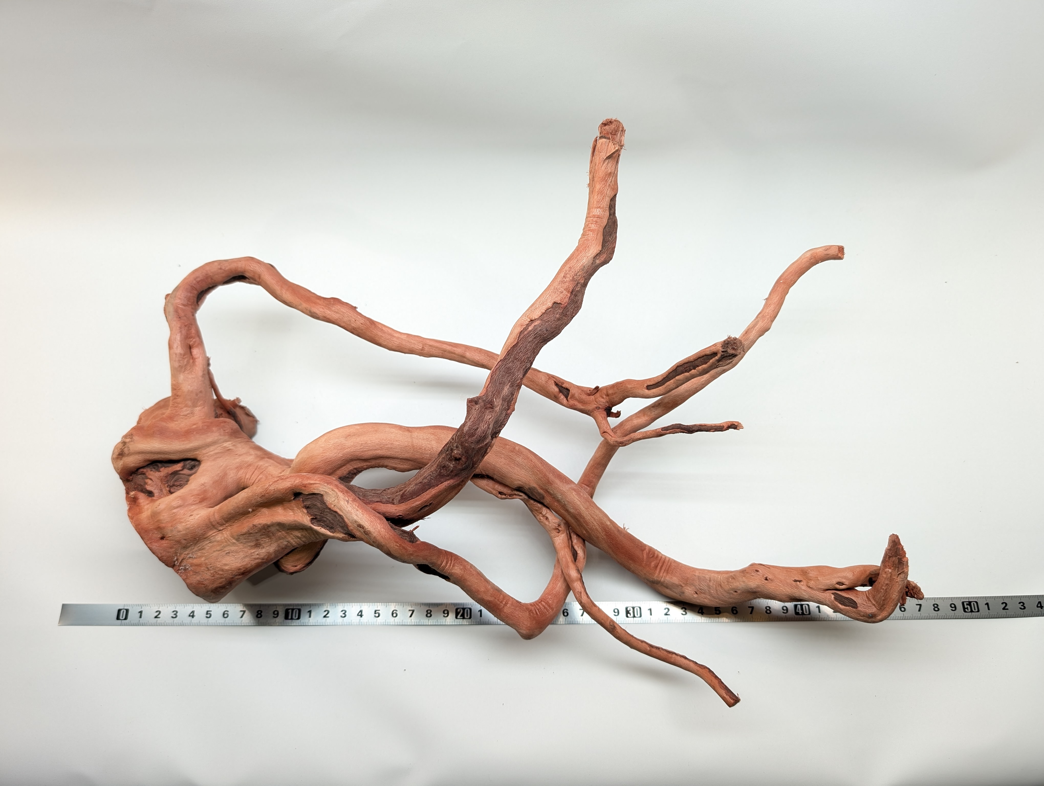 Aquarium Gold Vine driftwood  XL 40-60cm