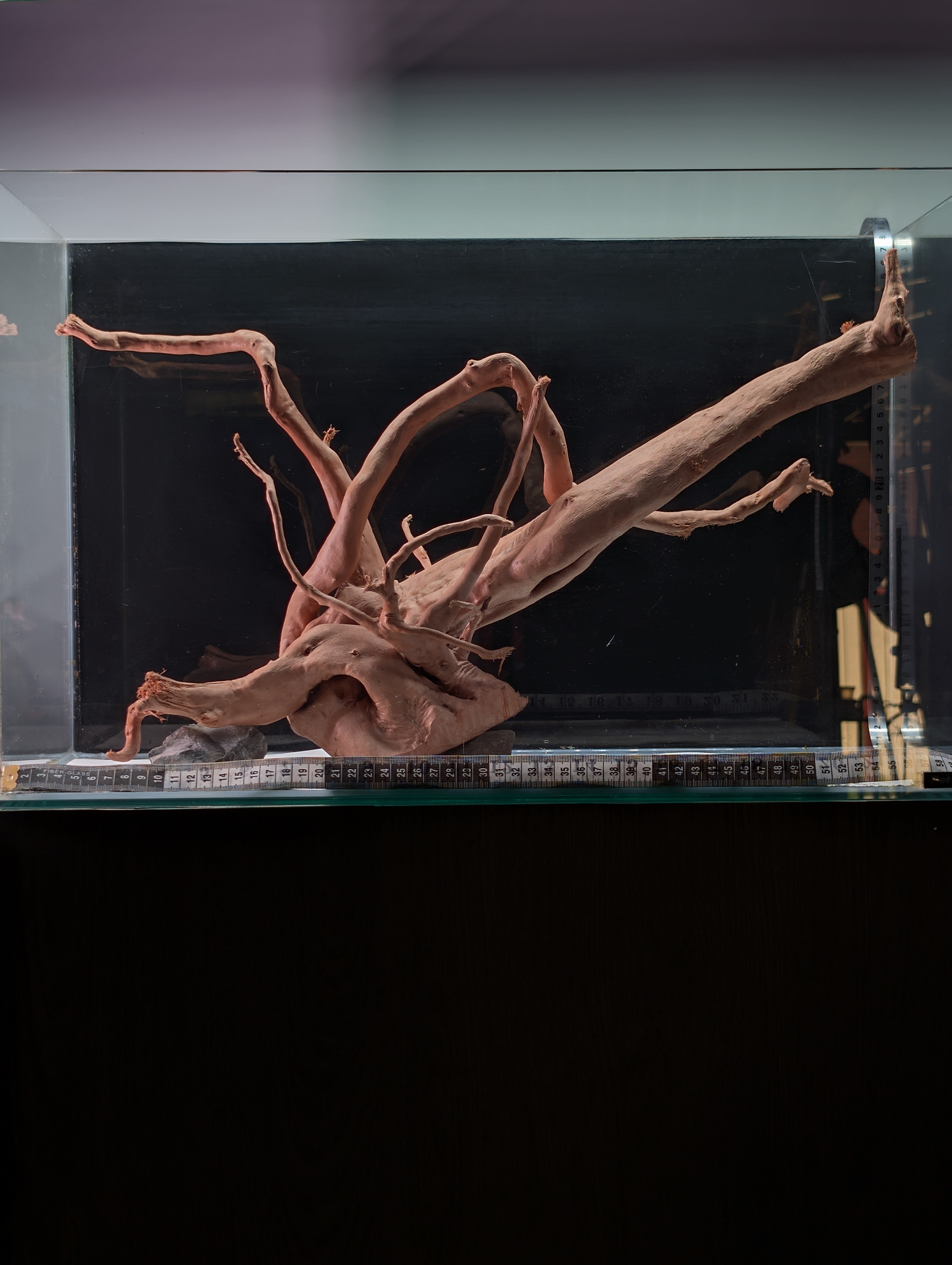 Aquarium Gold Vine driftwood  XL 40-60cm