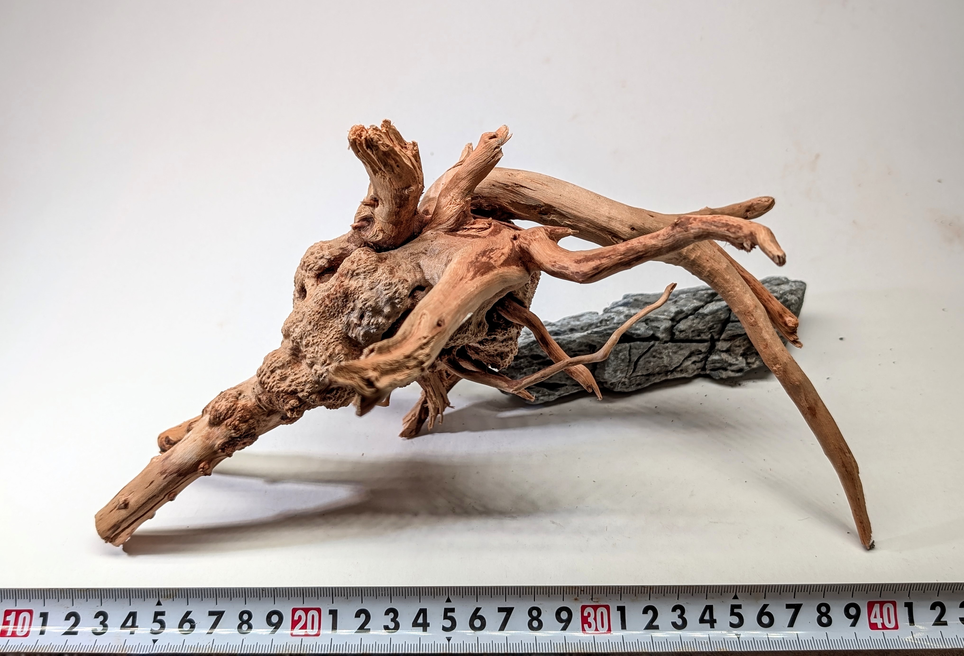 Aquarium gold vine driftwood  L size 25-40cm