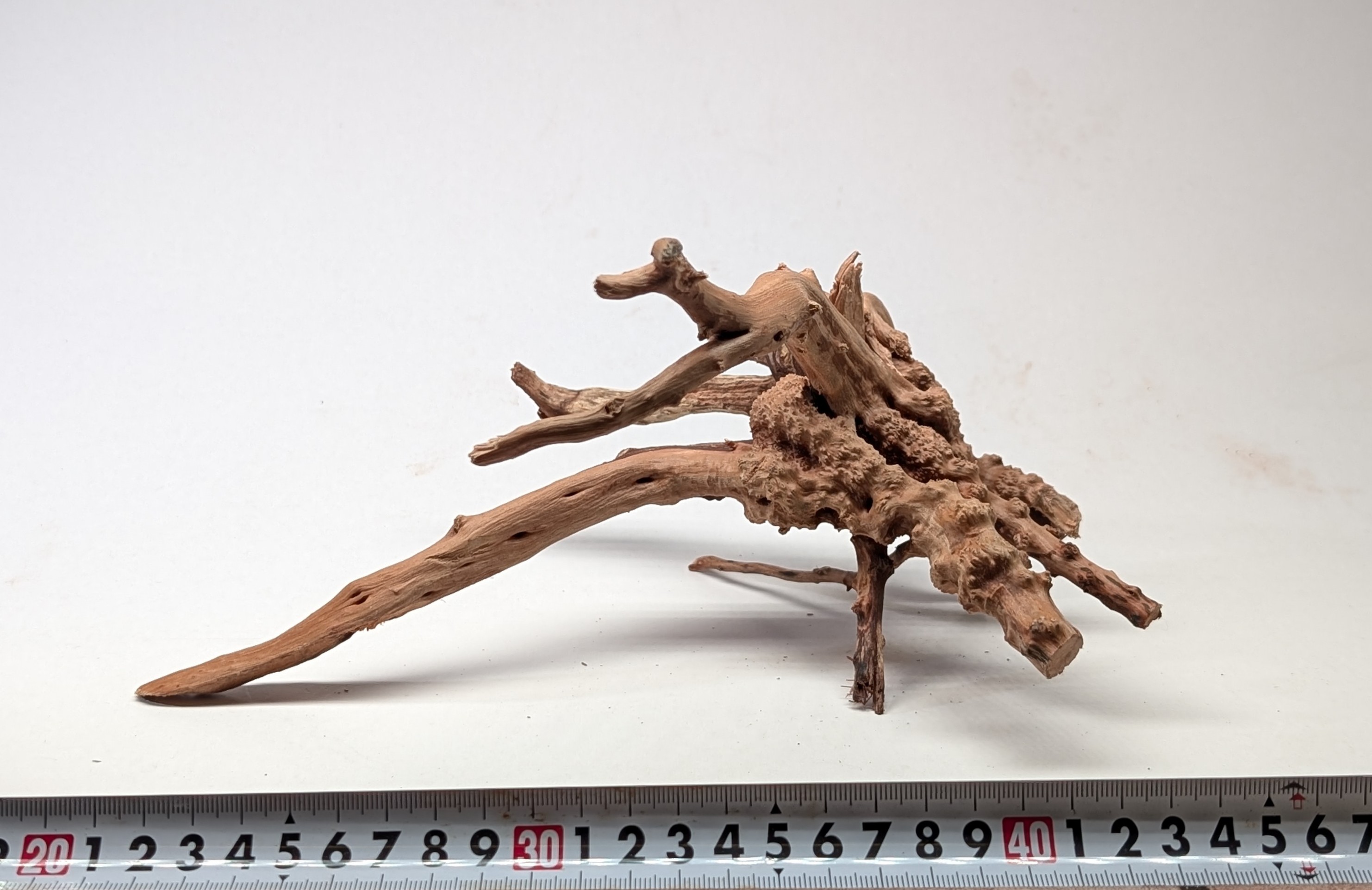 Aquarium gold vine drifrwood 20-25cm