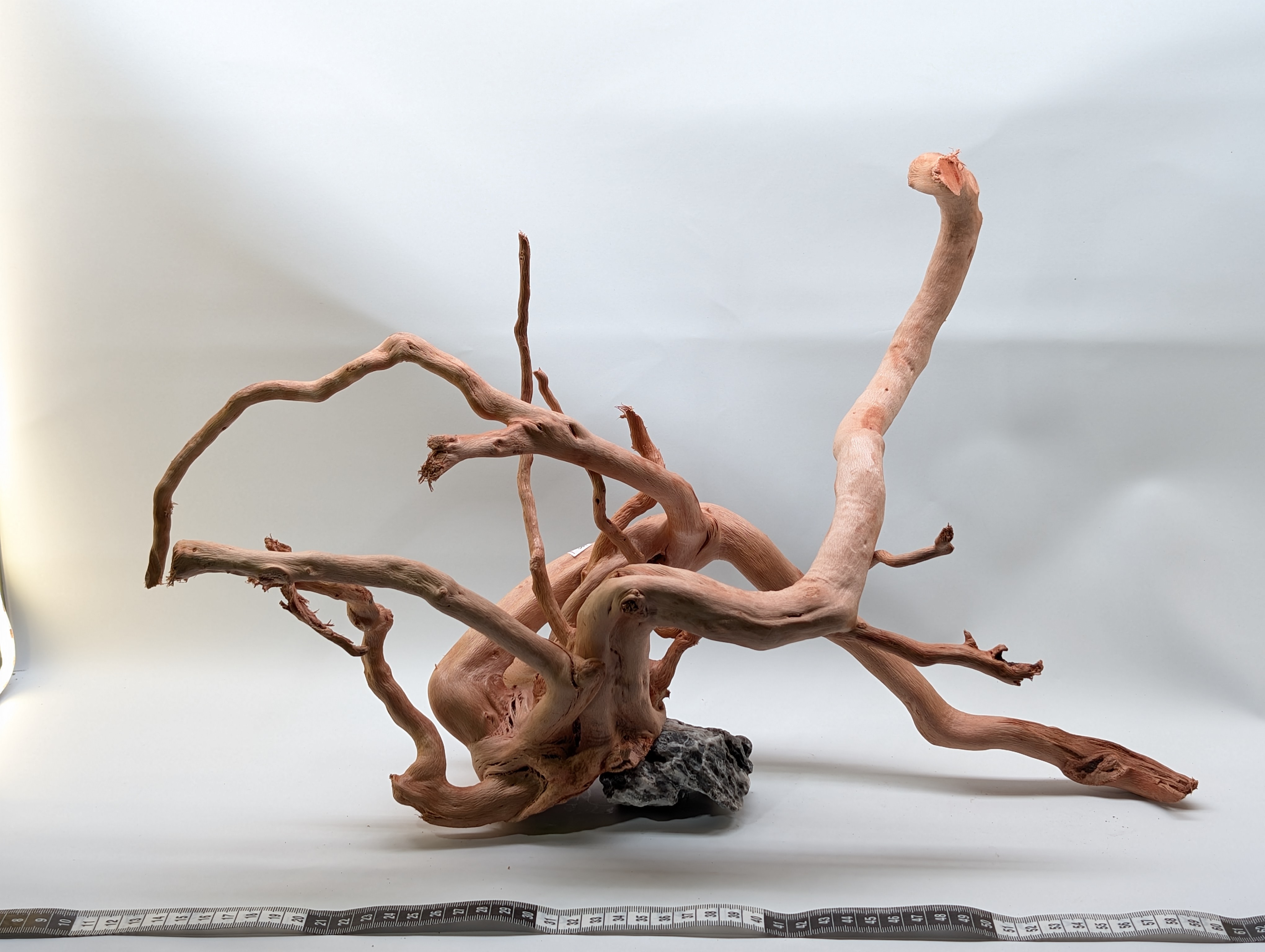 Aquarium Gold Vine driftwood XL 40-60cm