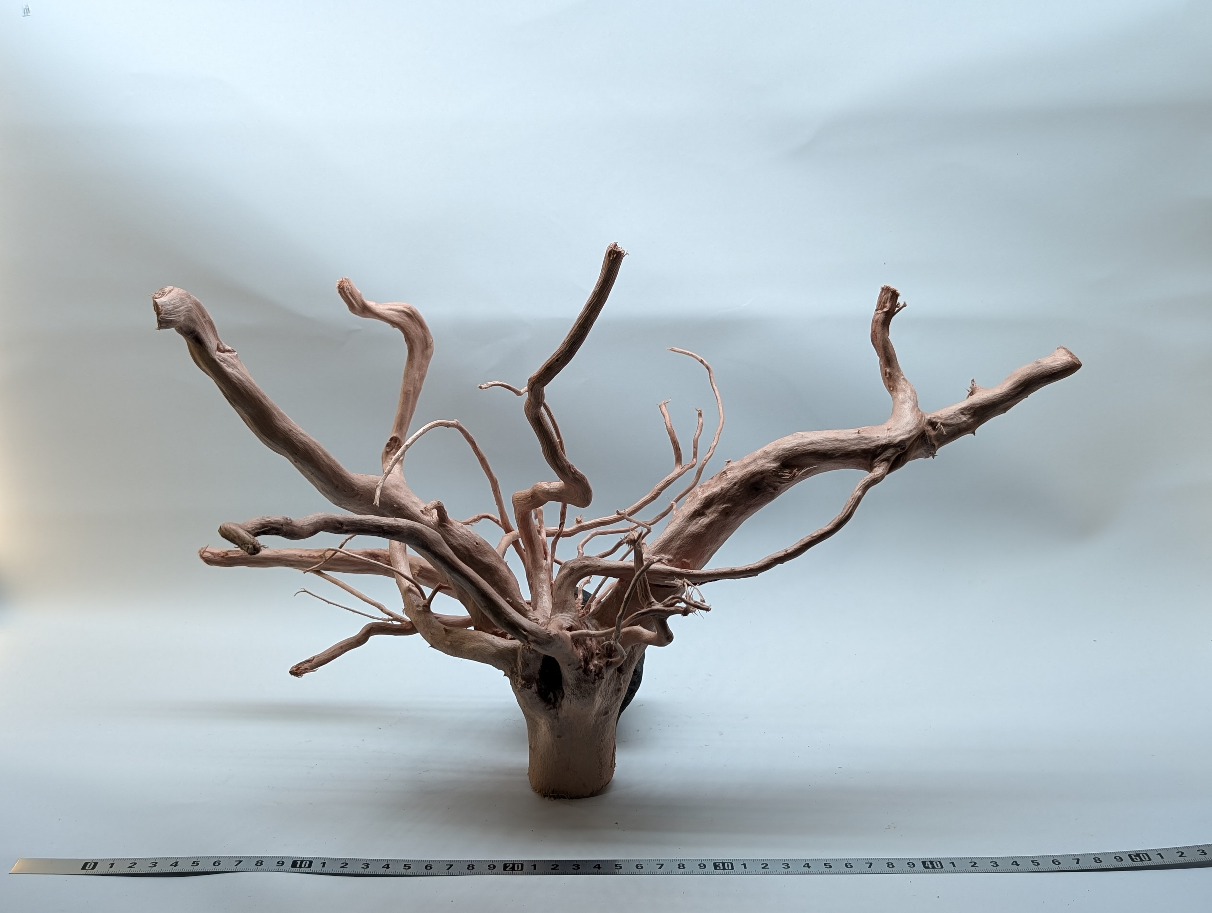 Aquarium Gold Vine driftwood XL 40-60cm