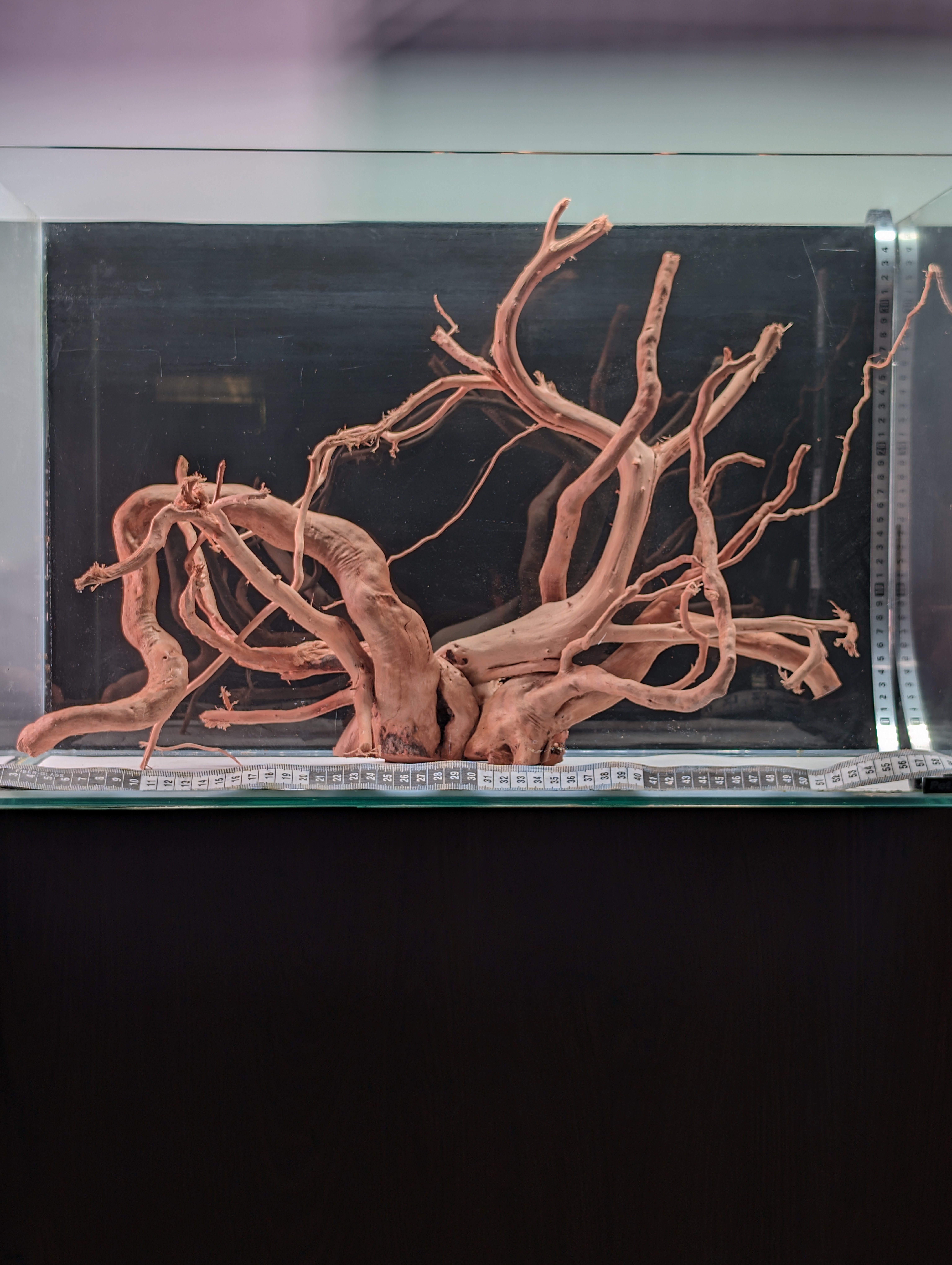 Aquarium Gold Vine driftwood XL 40-60cm