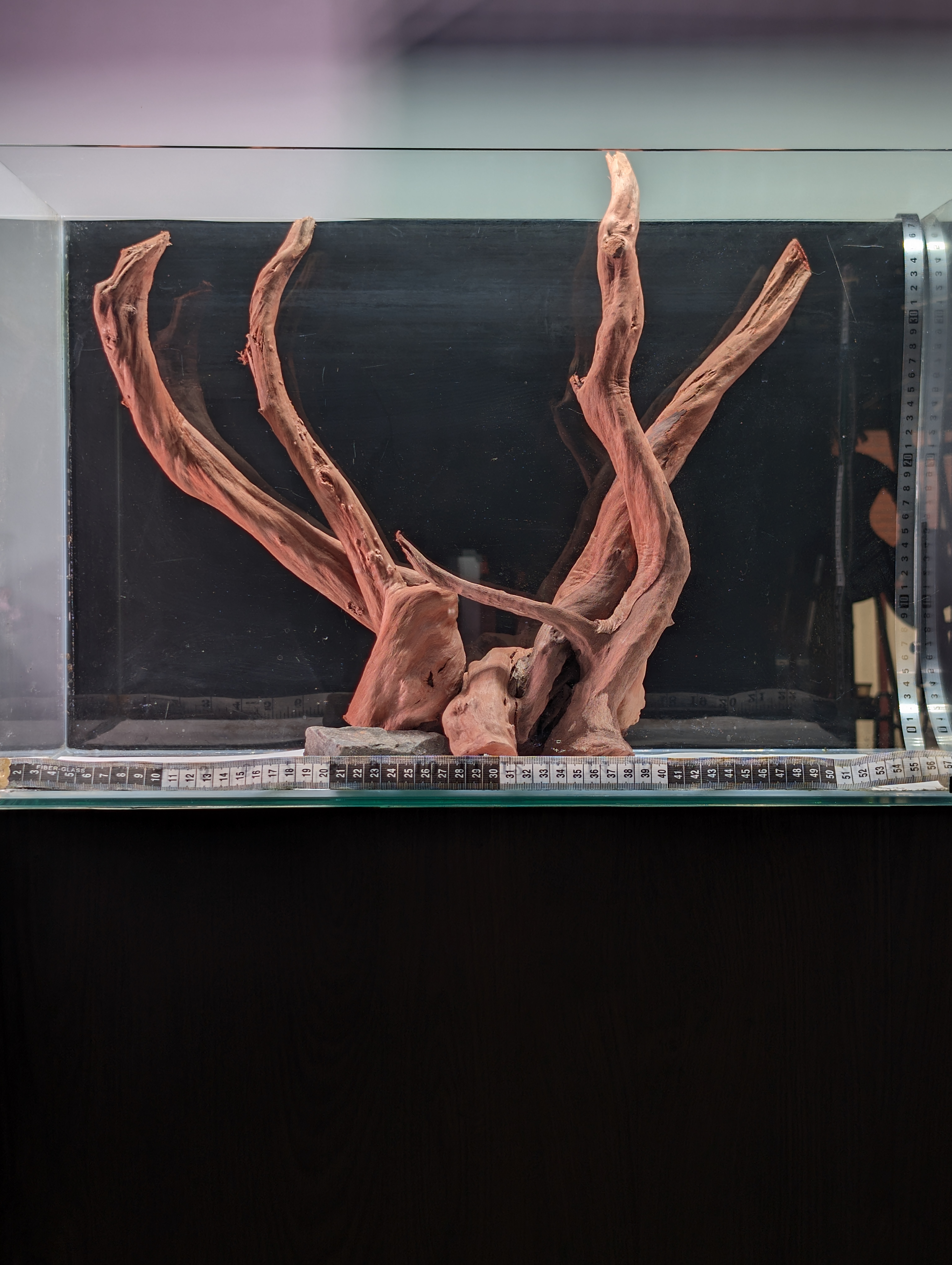 Aquarium Gold Vine driftwood XL 40-60cm