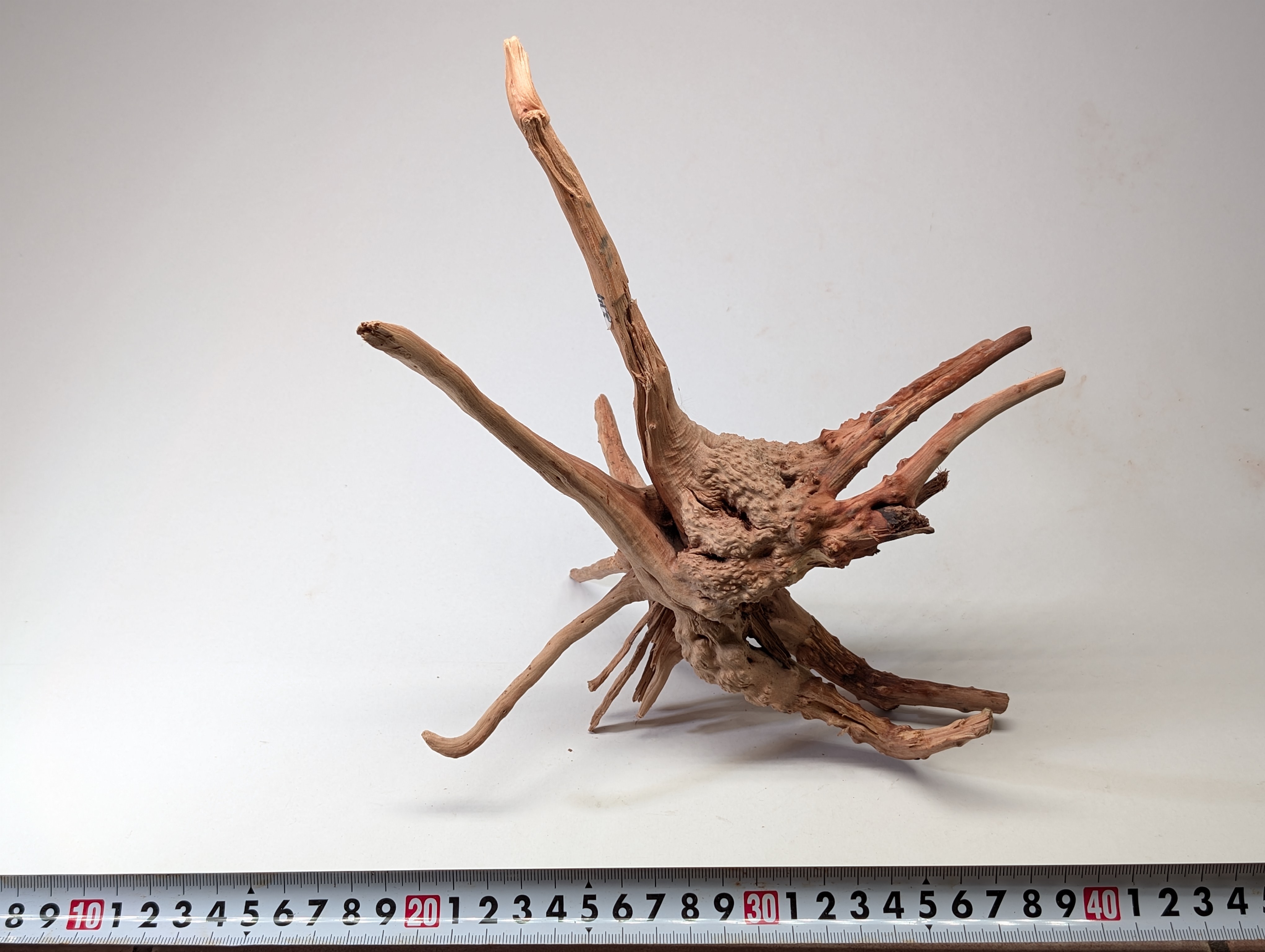 Aquarium gold vine driftwood L size 25-40cm