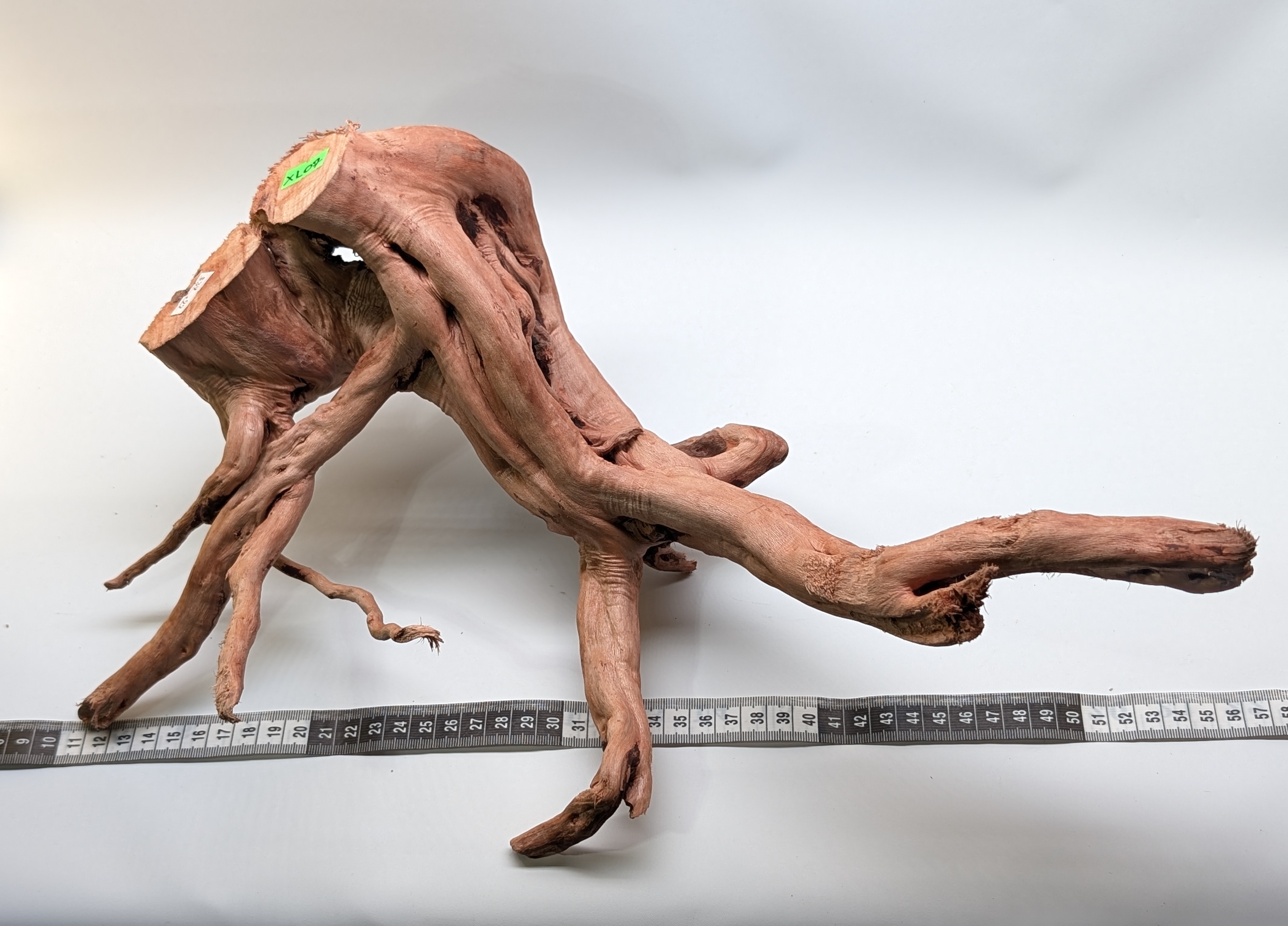 Aquarium Gold Vine driftwood  XL 40-60cm