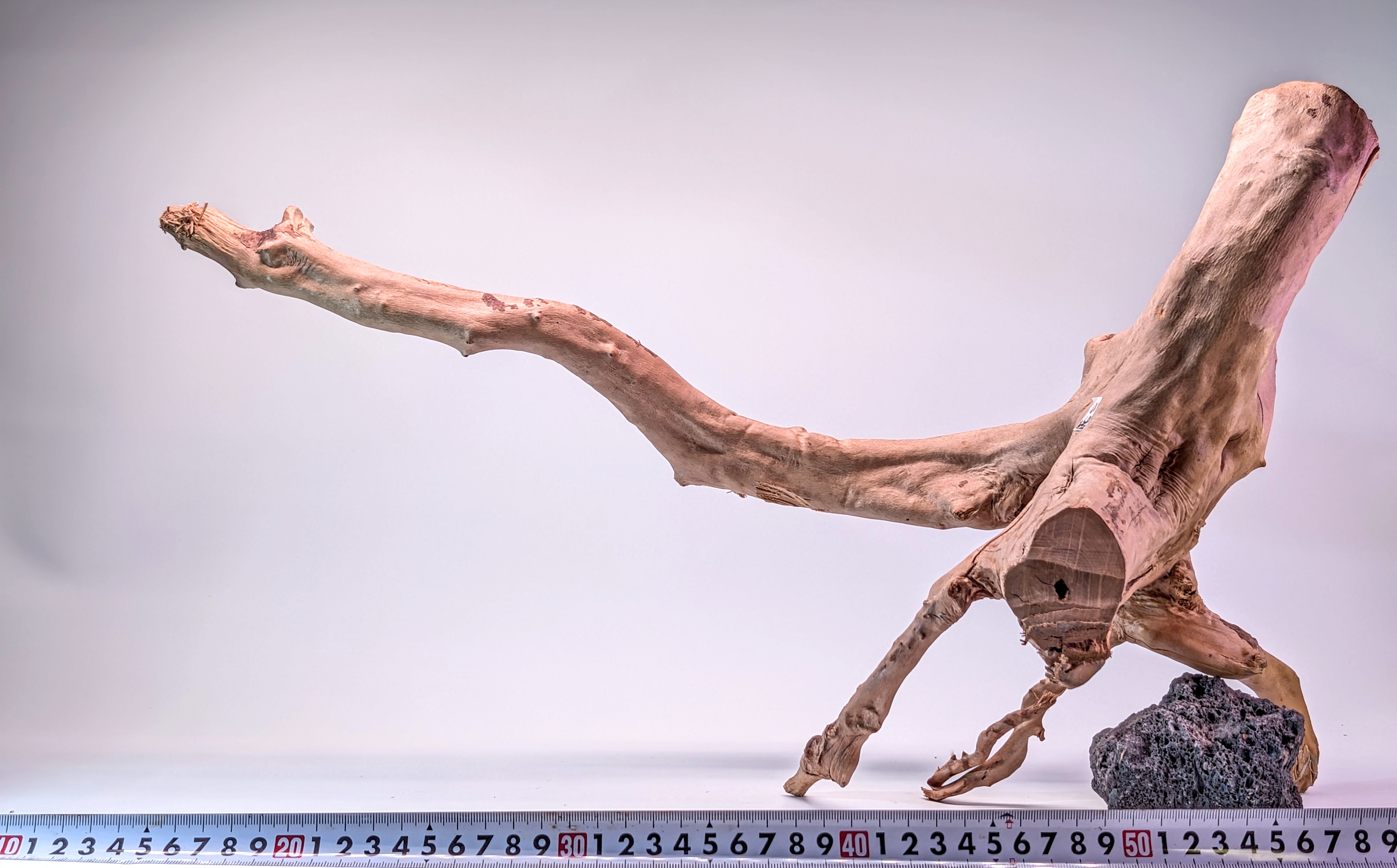 Aquarium Gold Vine driftwood XL 40-60cm