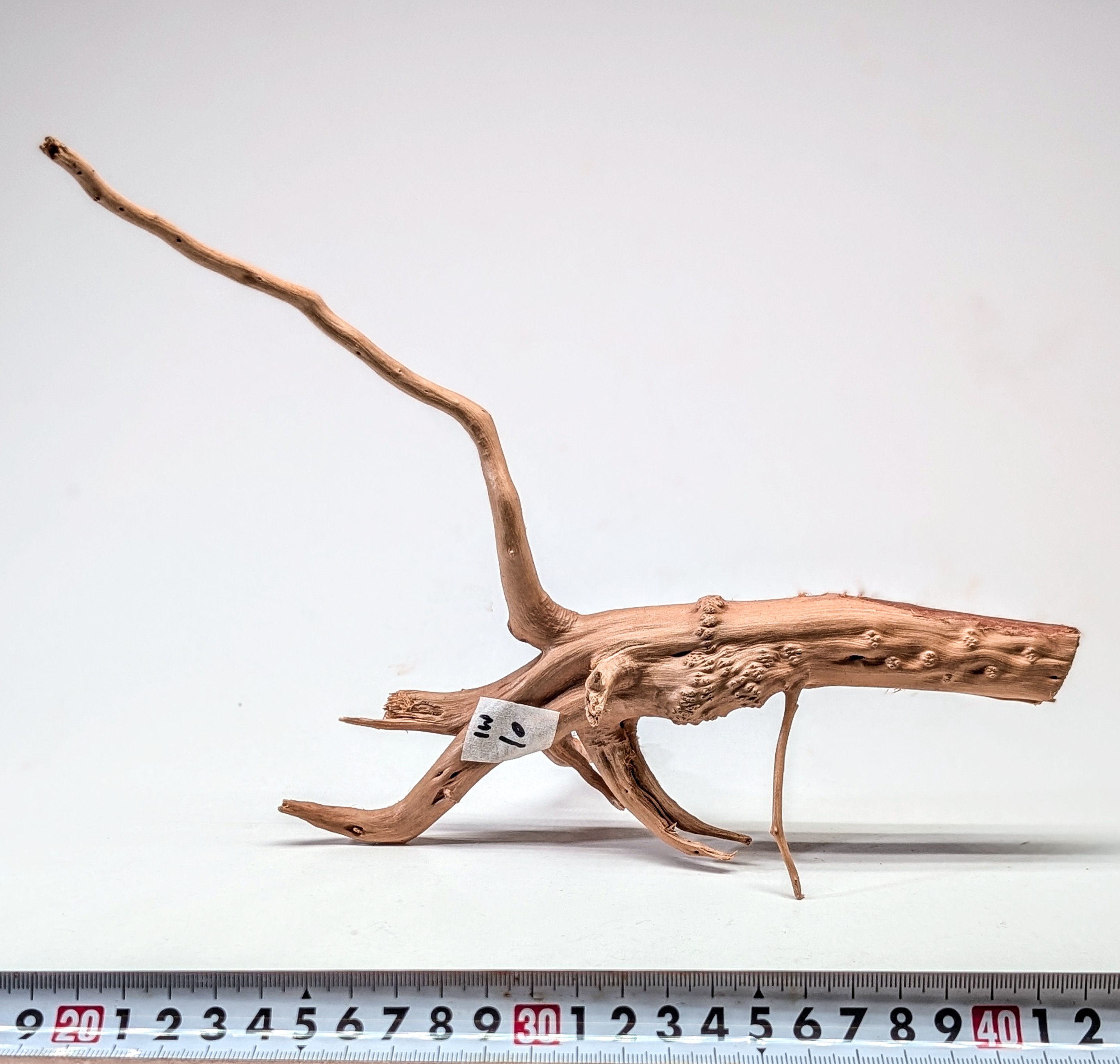 Aquarium gold vine drifrwood 15-20cm