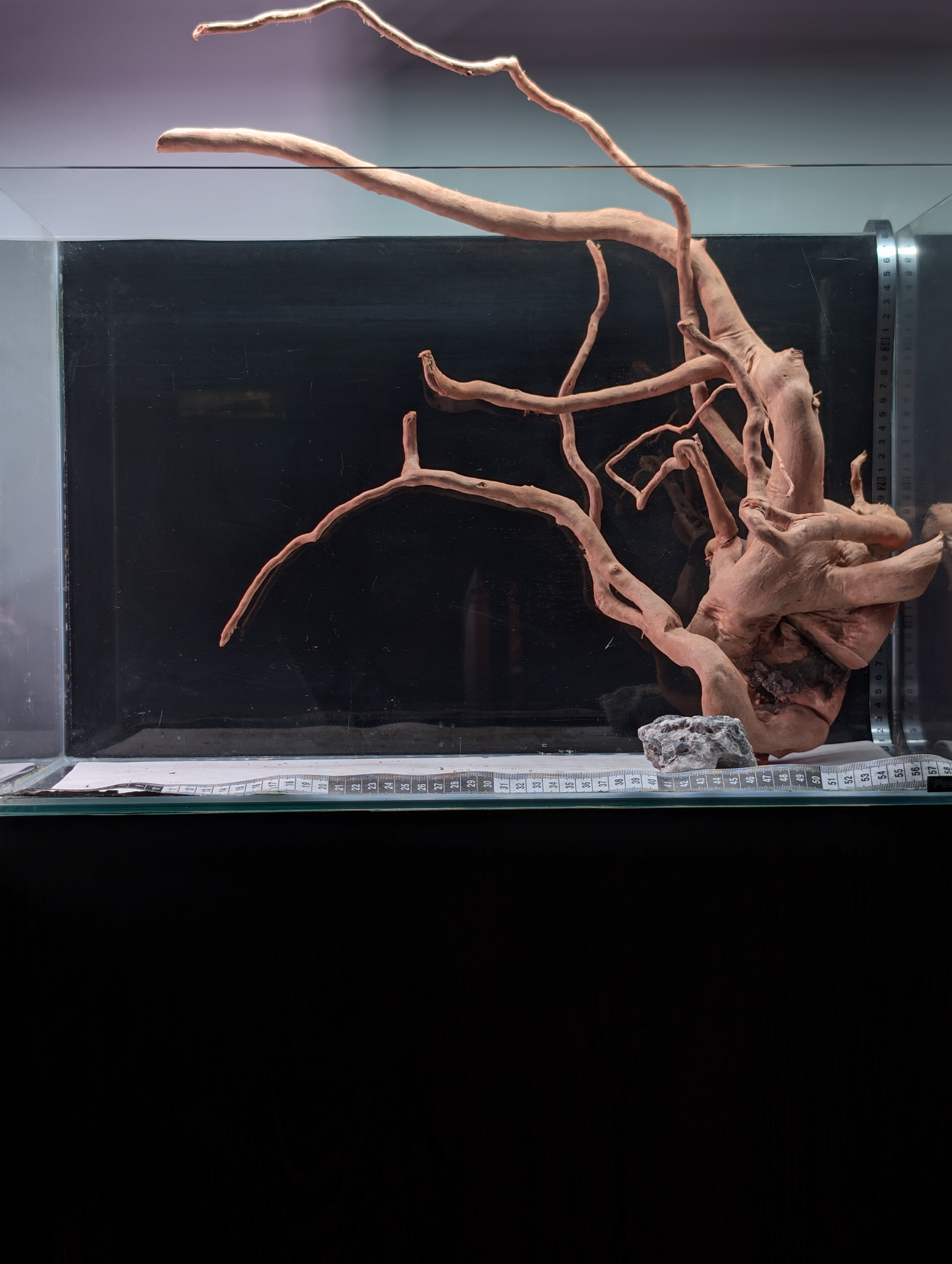 Aquarium Gold Vine driftwood XL 40-60cm