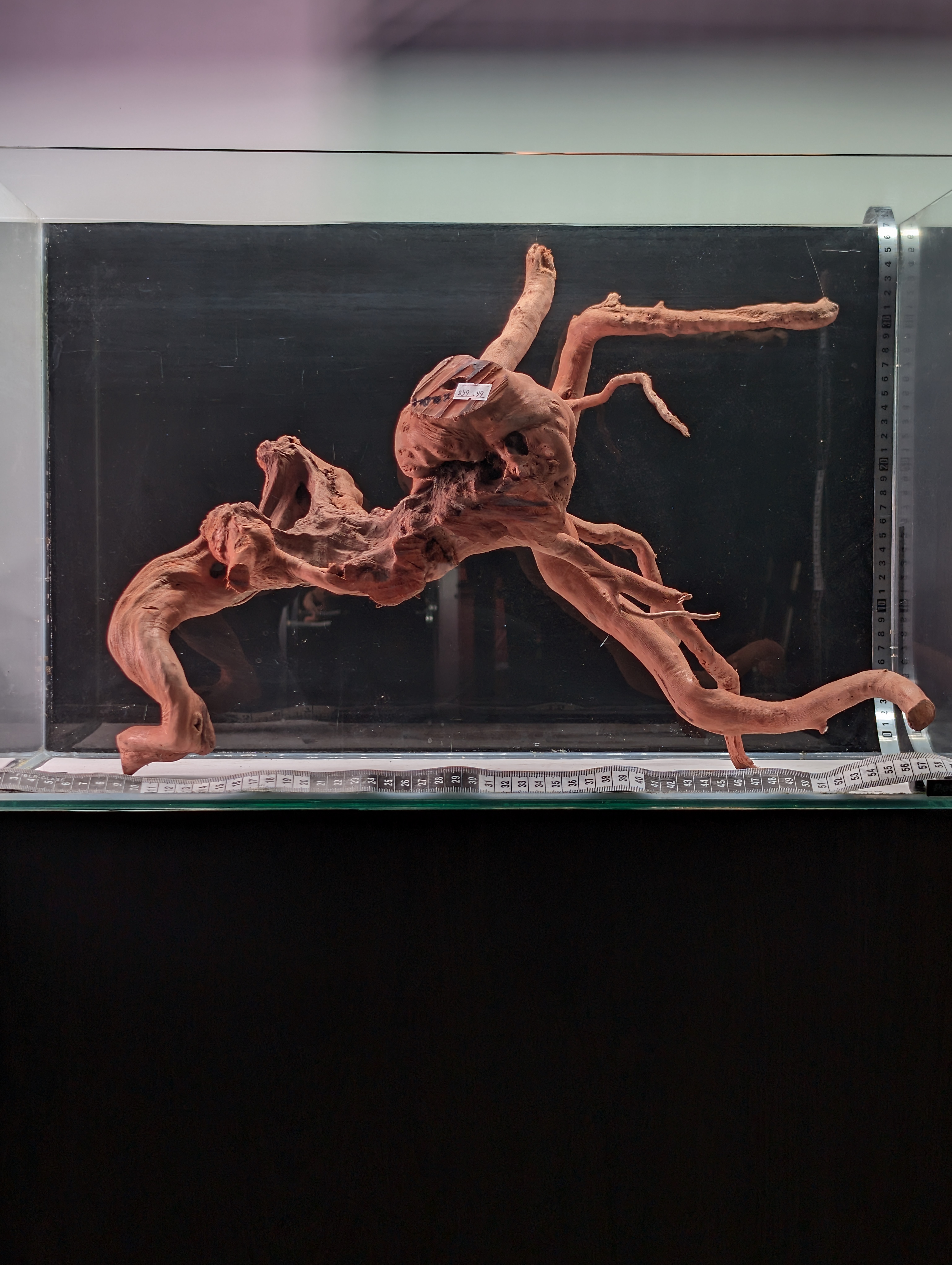 Aquarium Gold Vine driftwood  XL 40-60cm