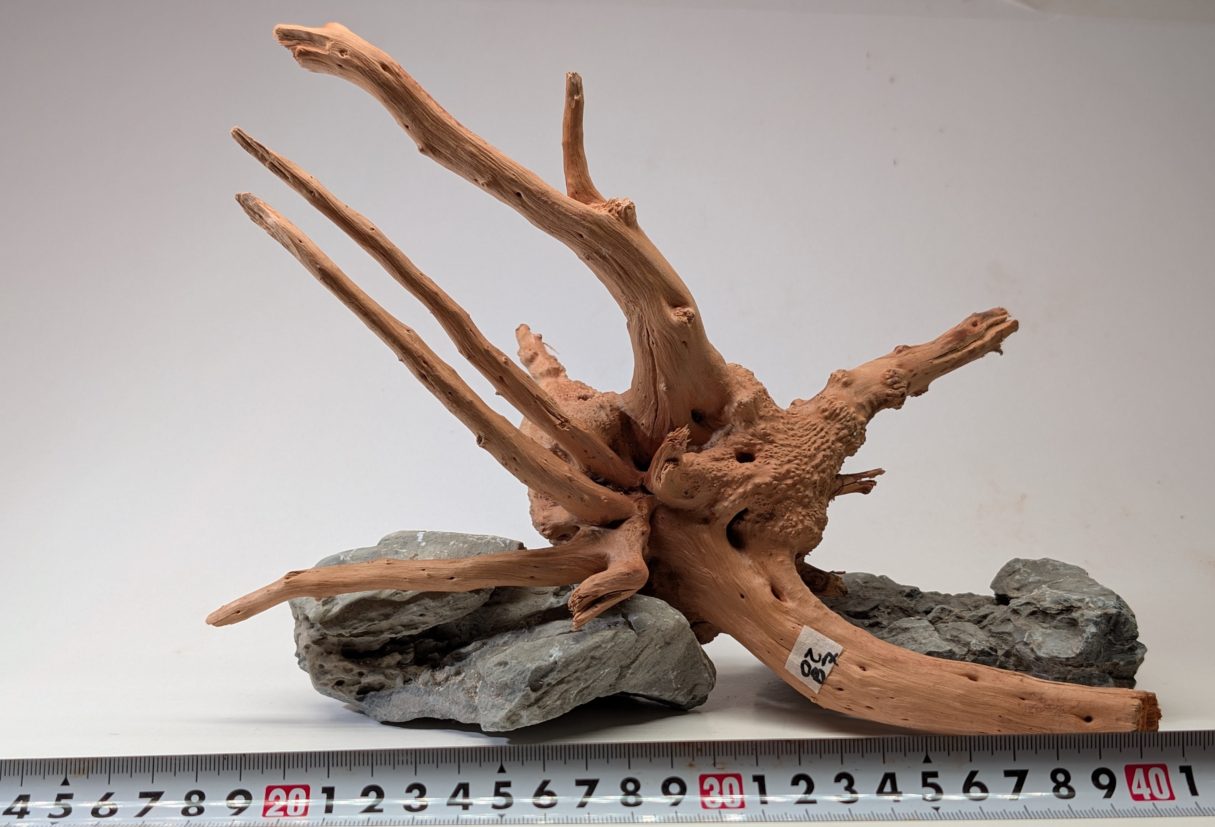 Aquarium gold vine driftwood L size 25-40cm