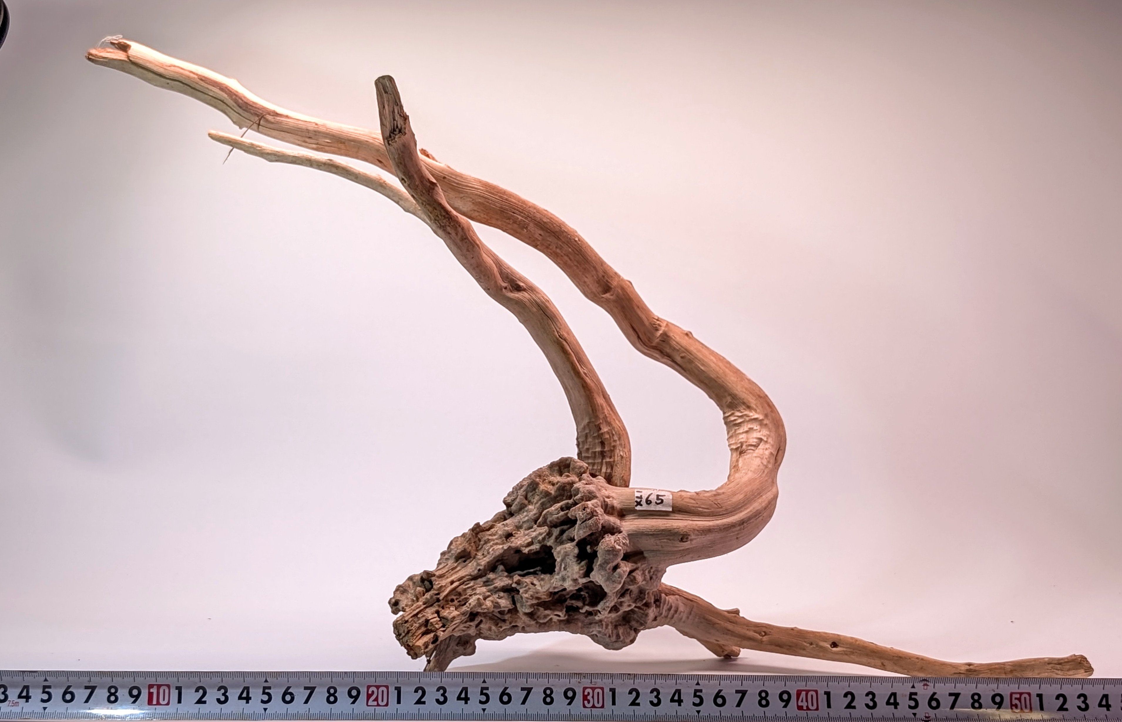 Aquarium Gold Vine driftwood XL 40-60cm